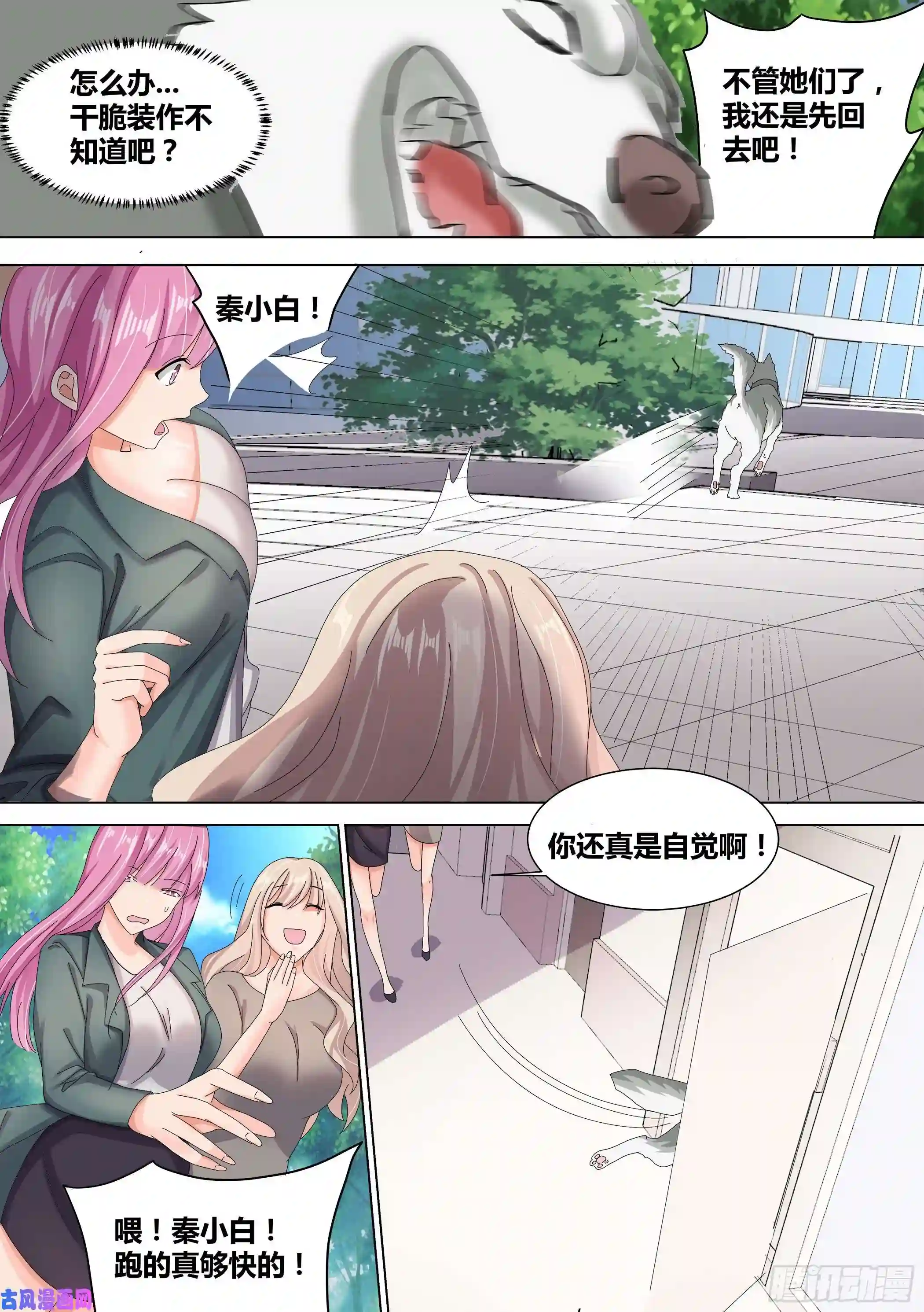 直播：女神家的哈士奇天秀10-无敌狗皇