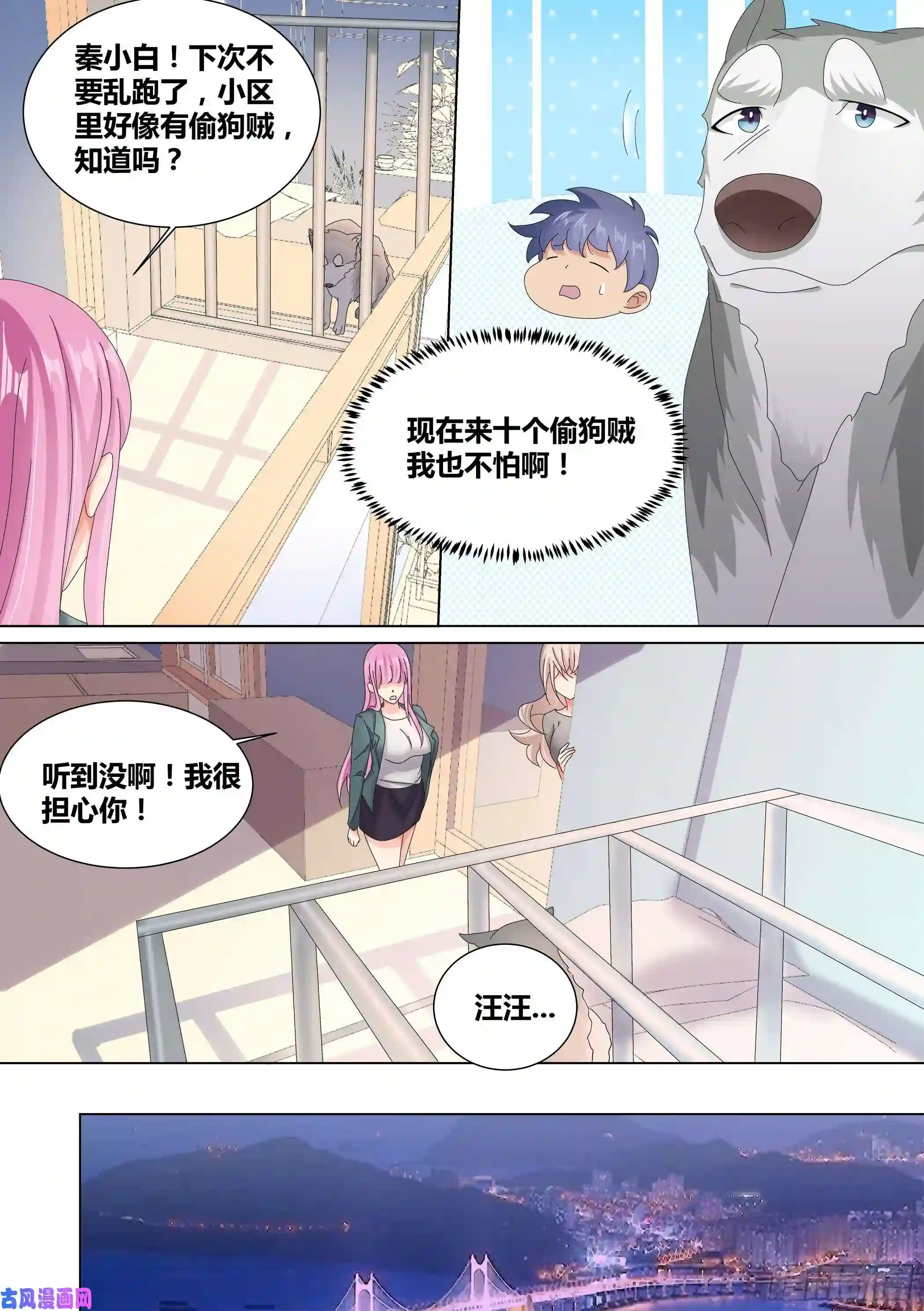 直播：女神家的哈士奇天秀10-无敌狗皇