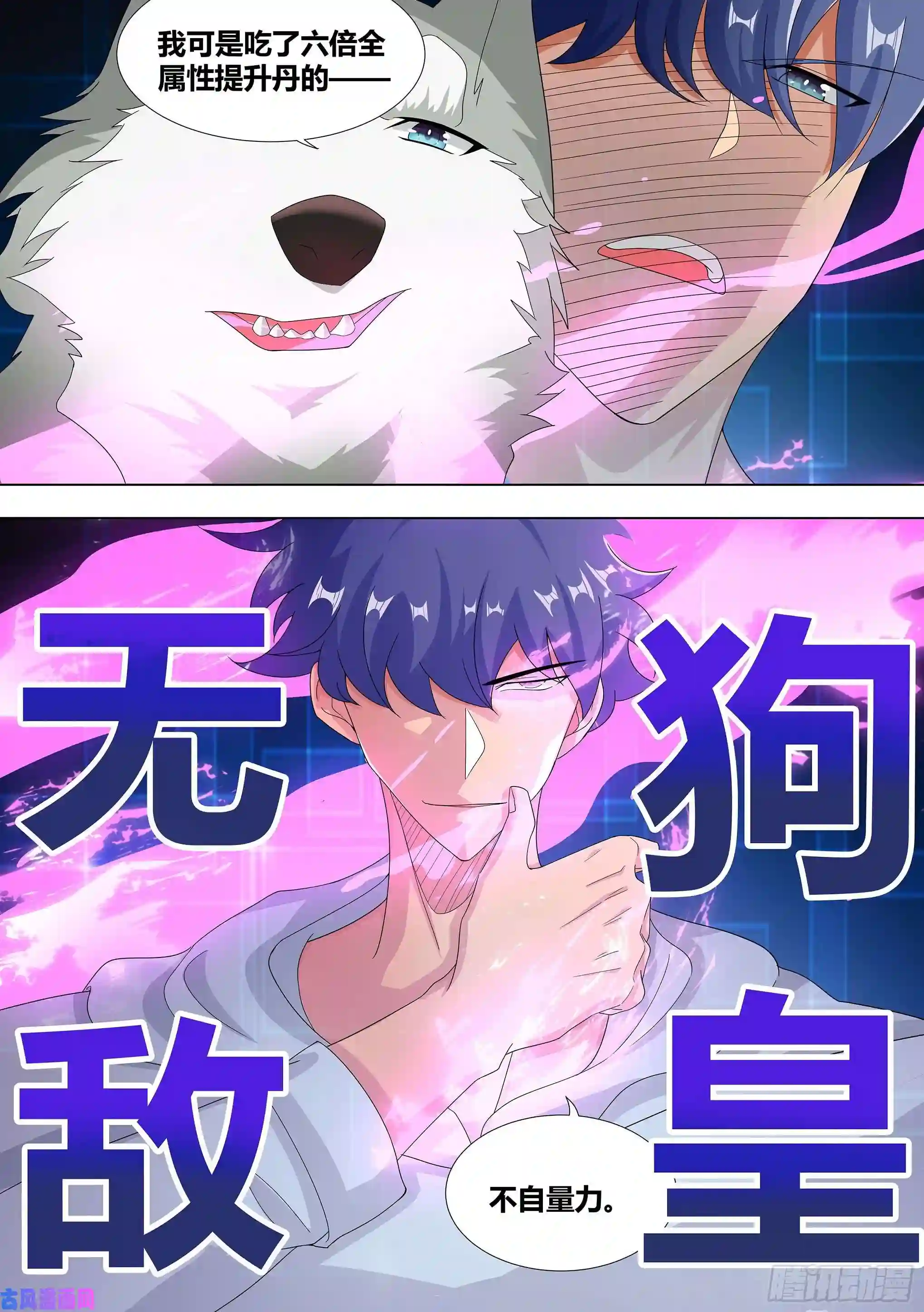 直播：女神家的哈士奇天秀10-无敌狗皇