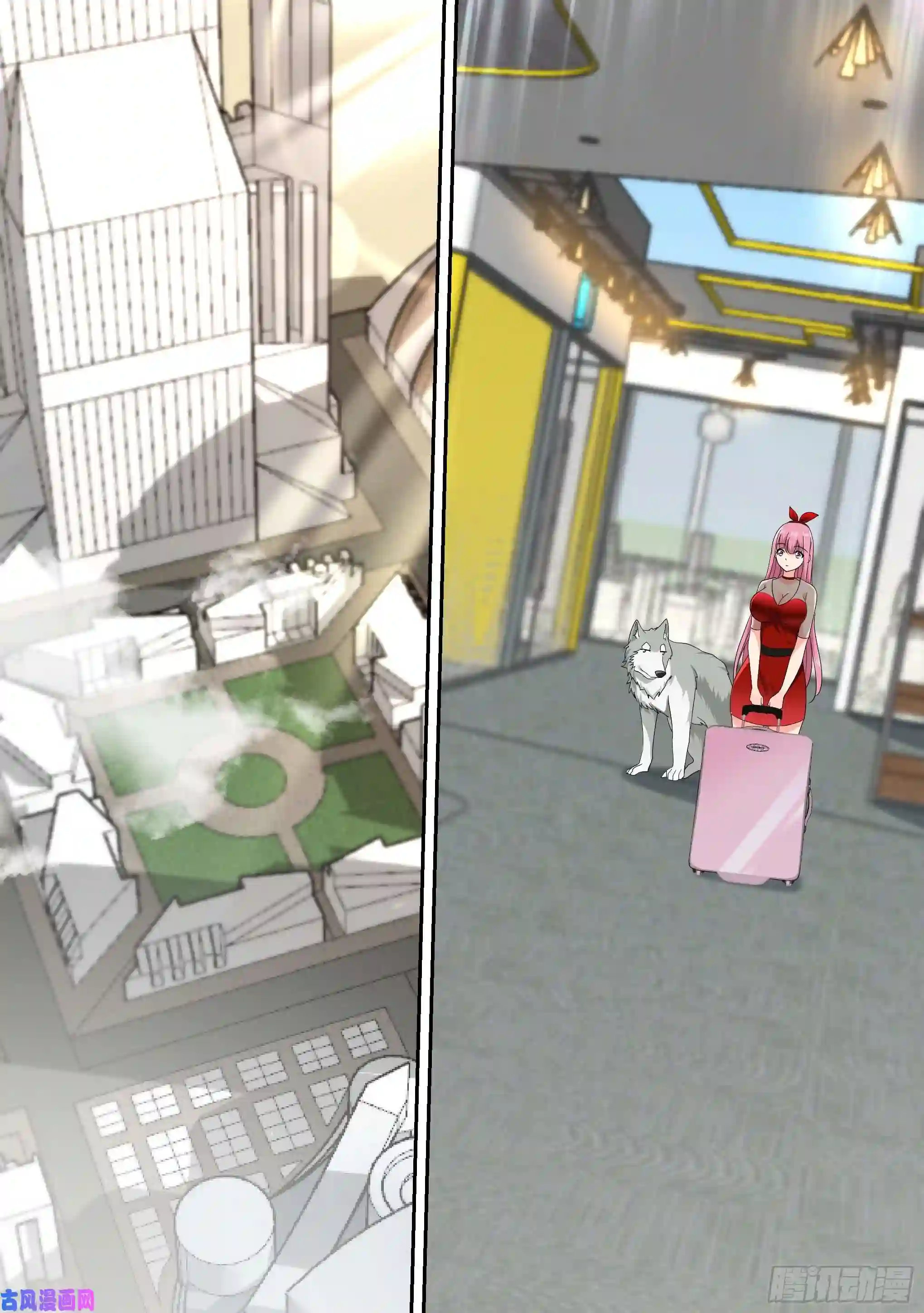 直播：女神家的哈士奇天秀16-荒岛，我来了！