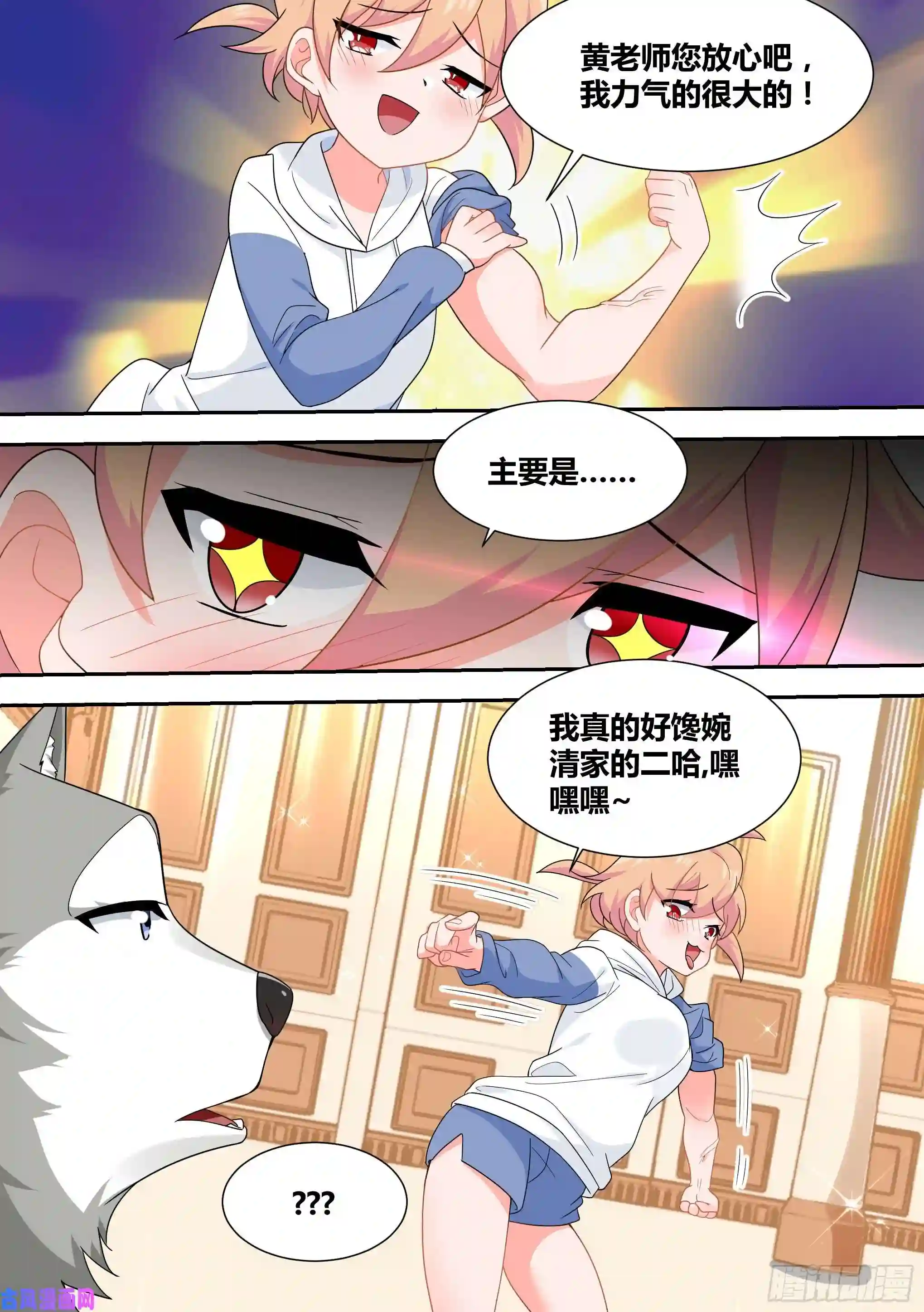 直播：女神家的哈士奇天秀16-荒岛，我来了！