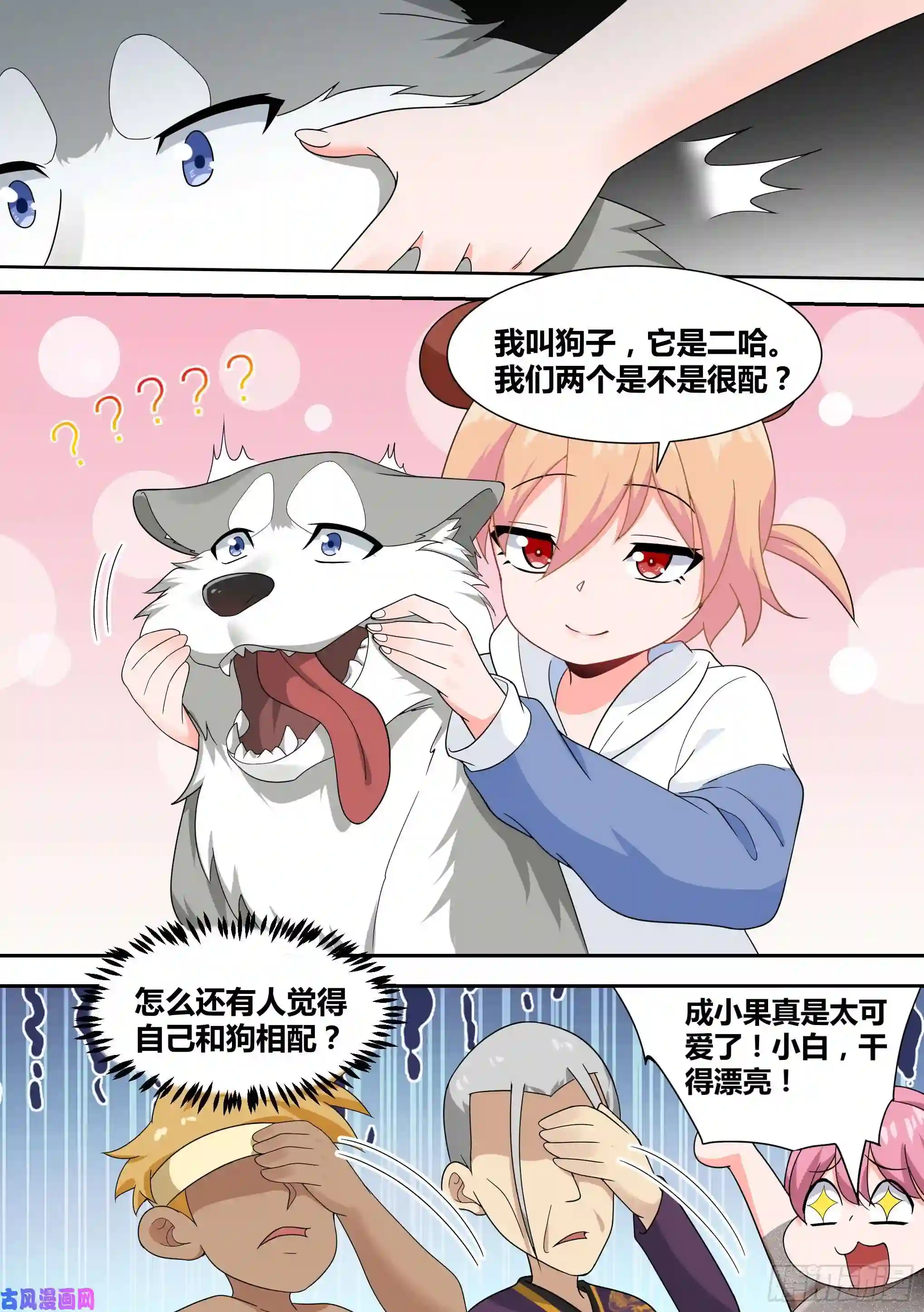 直播：女神家的哈士奇天秀16-荒岛，我来了！