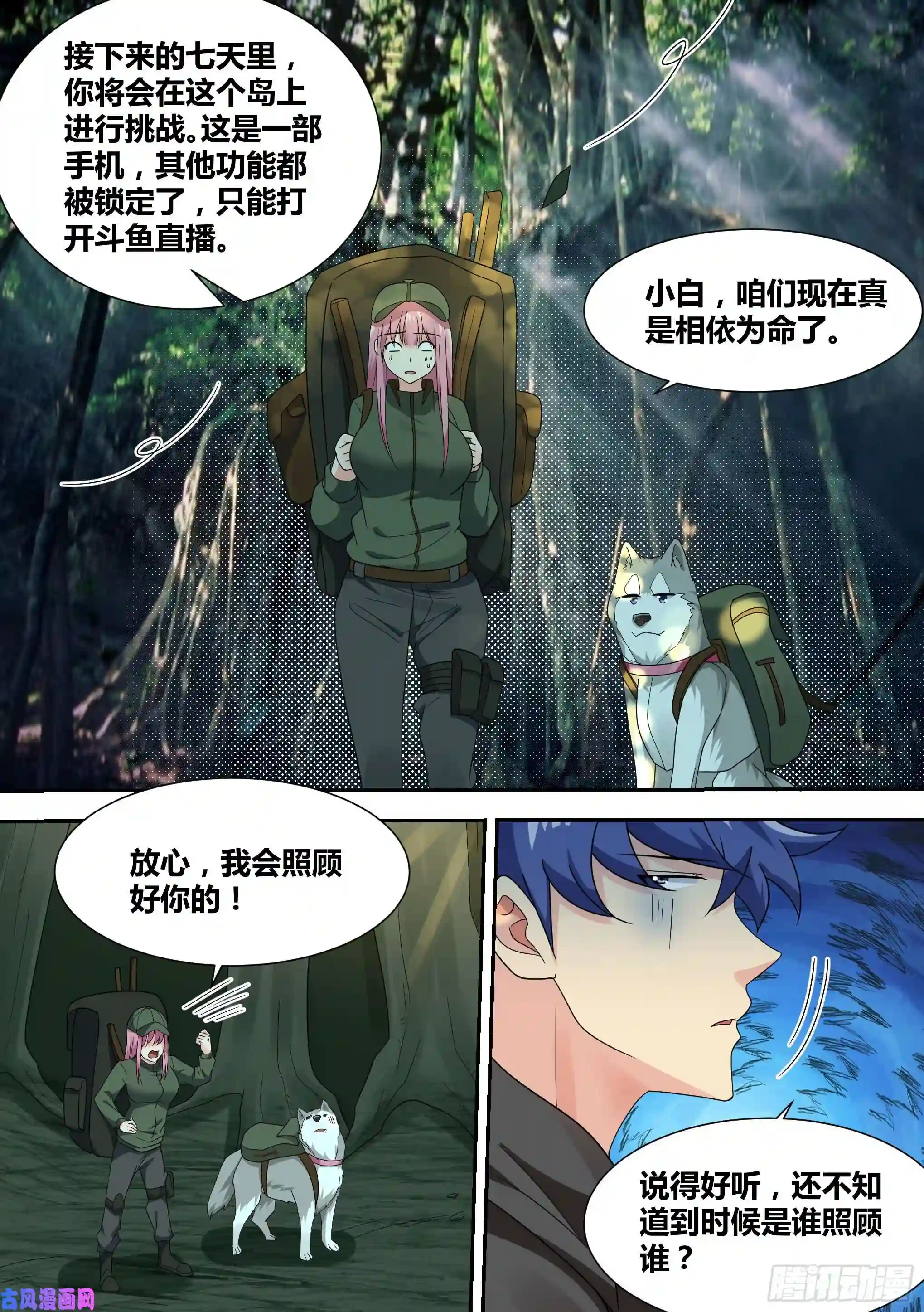 直播：女神家的哈士奇天秀16-荒岛，我来了！