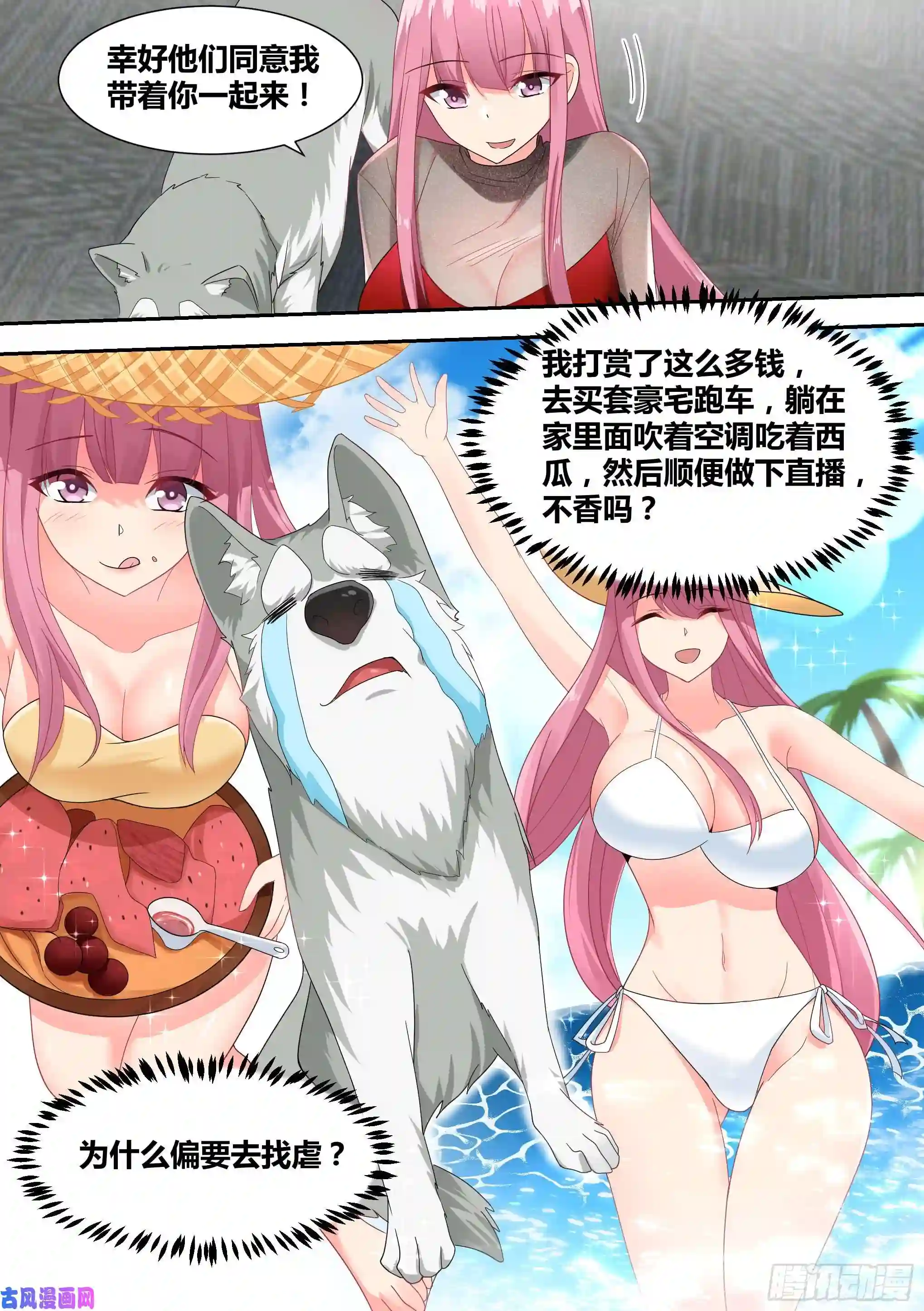 直播：女神家的哈士奇天秀16-荒岛，我来了！