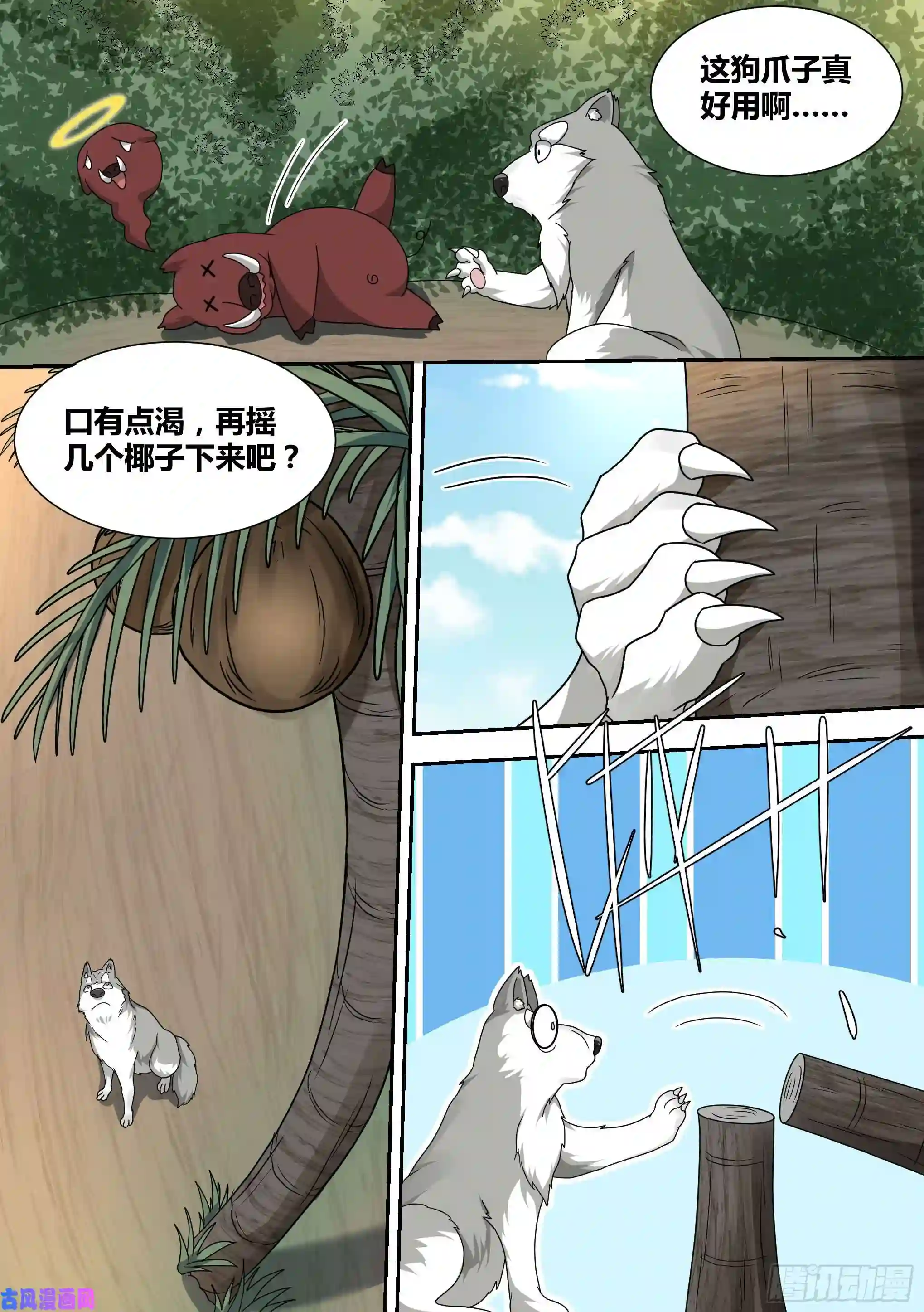 直播：女神家的哈士奇天秀17-开始荒野生存！