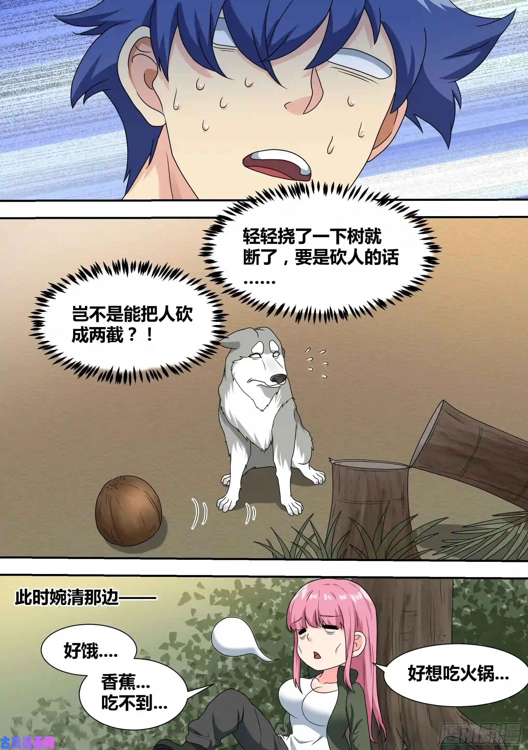 直播：女神家的哈士奇天秀17-开始荒野生存！