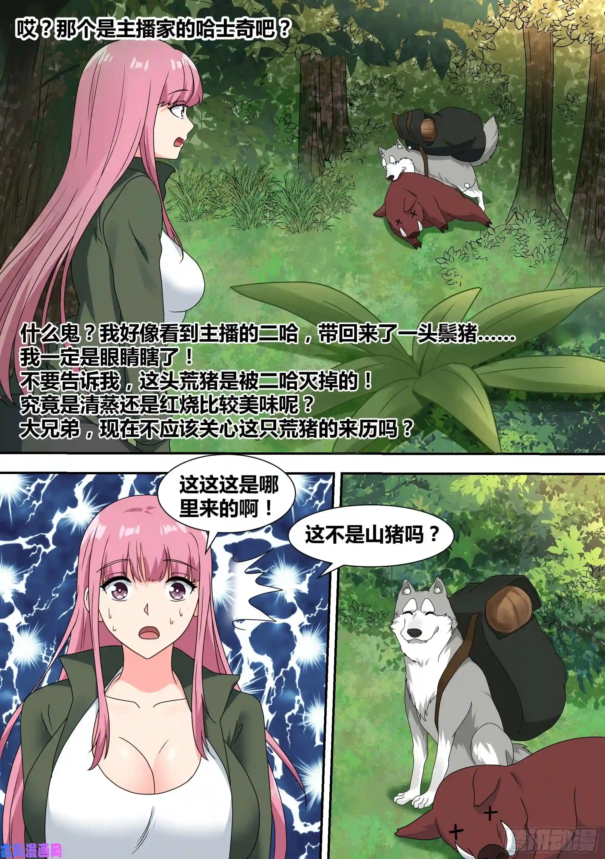 直播：女神家的哈士奇天秀17-开始荒野生存！