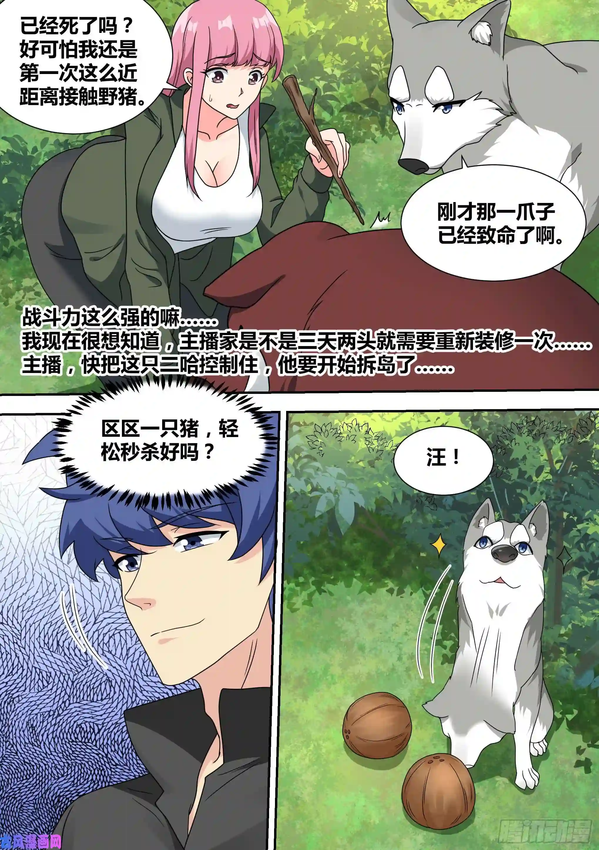直播：女神家的哈士奇天秀17-开始荒野生存！