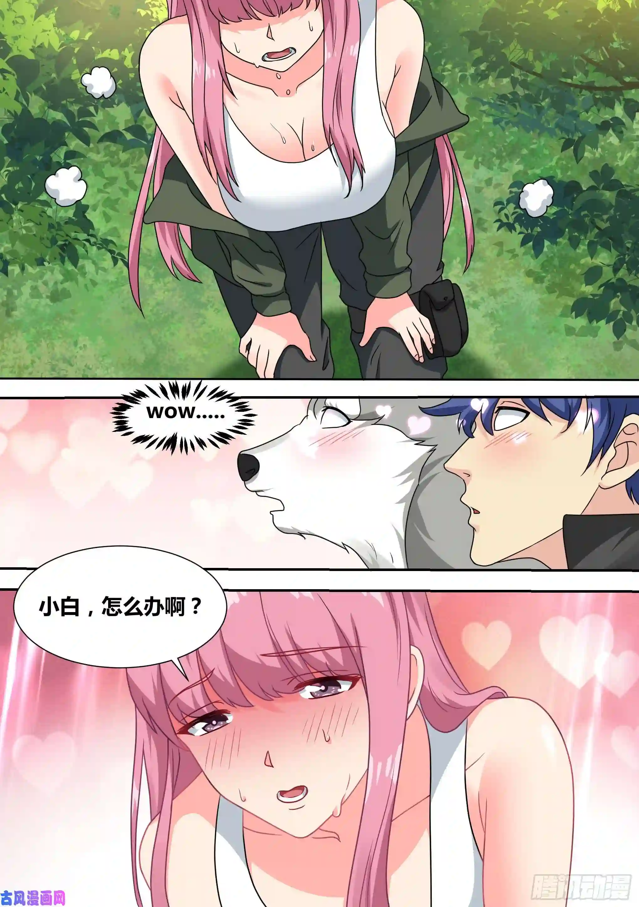 直播：女神家的哈士奇天秀17-开始荒野生存！
