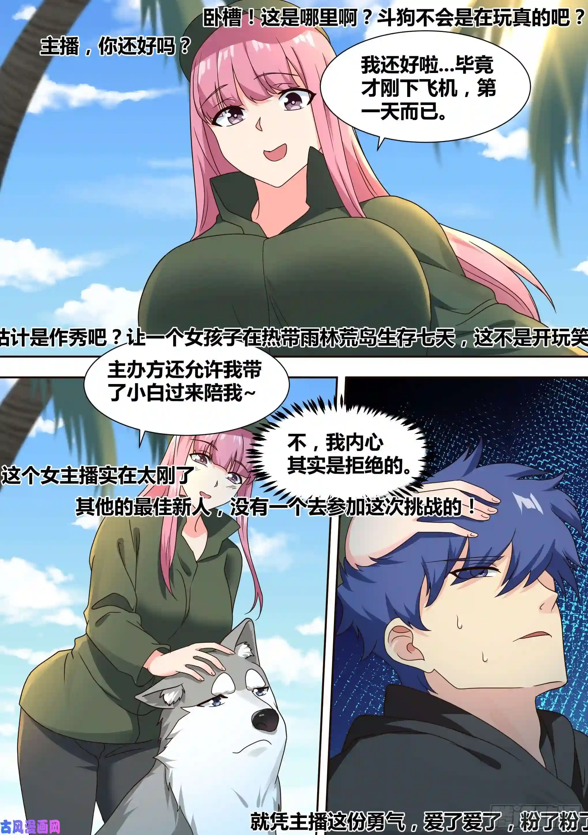 直播：女神家的哈士奇天秀17-开始荒野生存！