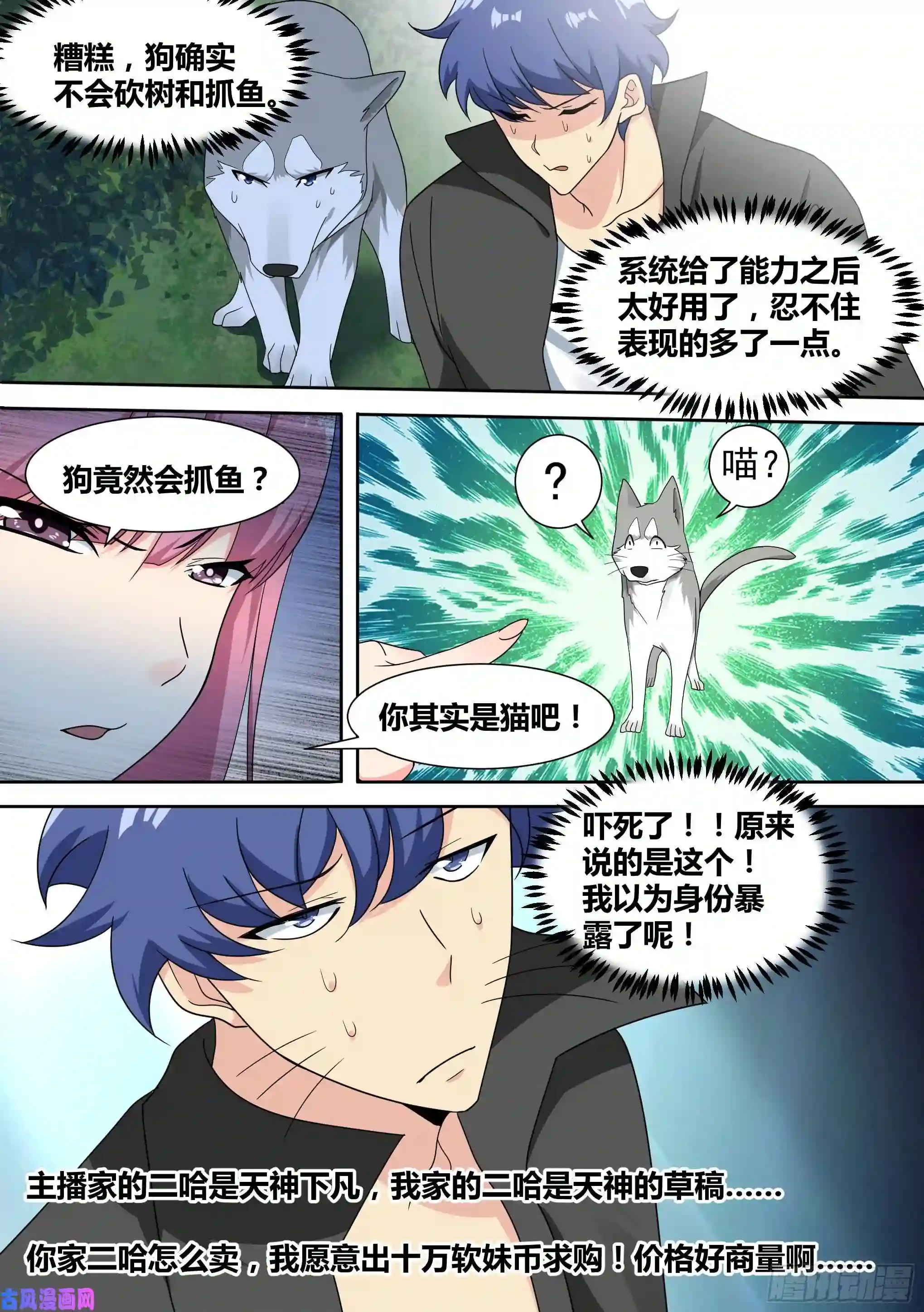 直播：女神家的哈士奇天秀18-婉清的野外“度假”