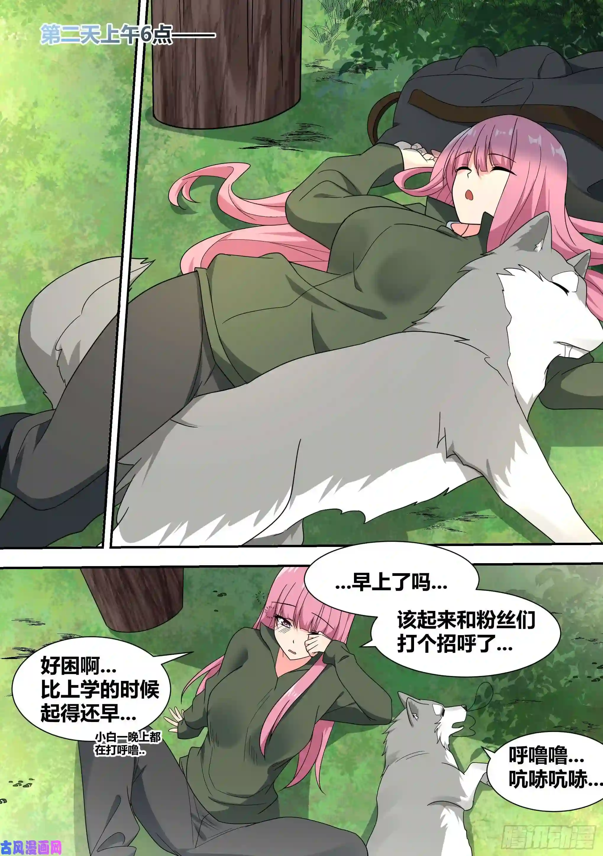 直播：女神家的哈士奇天秀18-婉清的野外“度假”