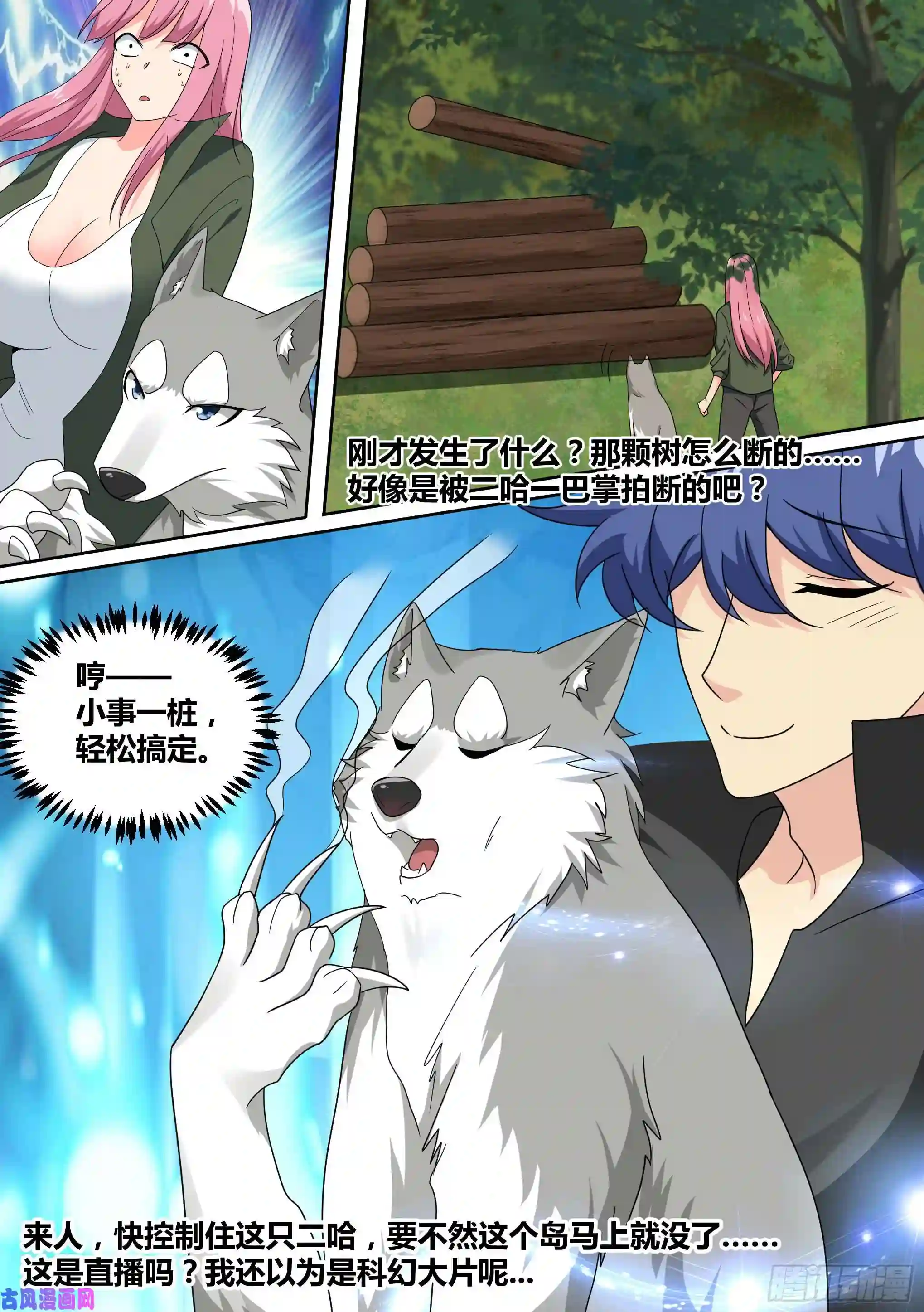 直播：女神家的哈士奇天秀18-婉清的野外“度假”