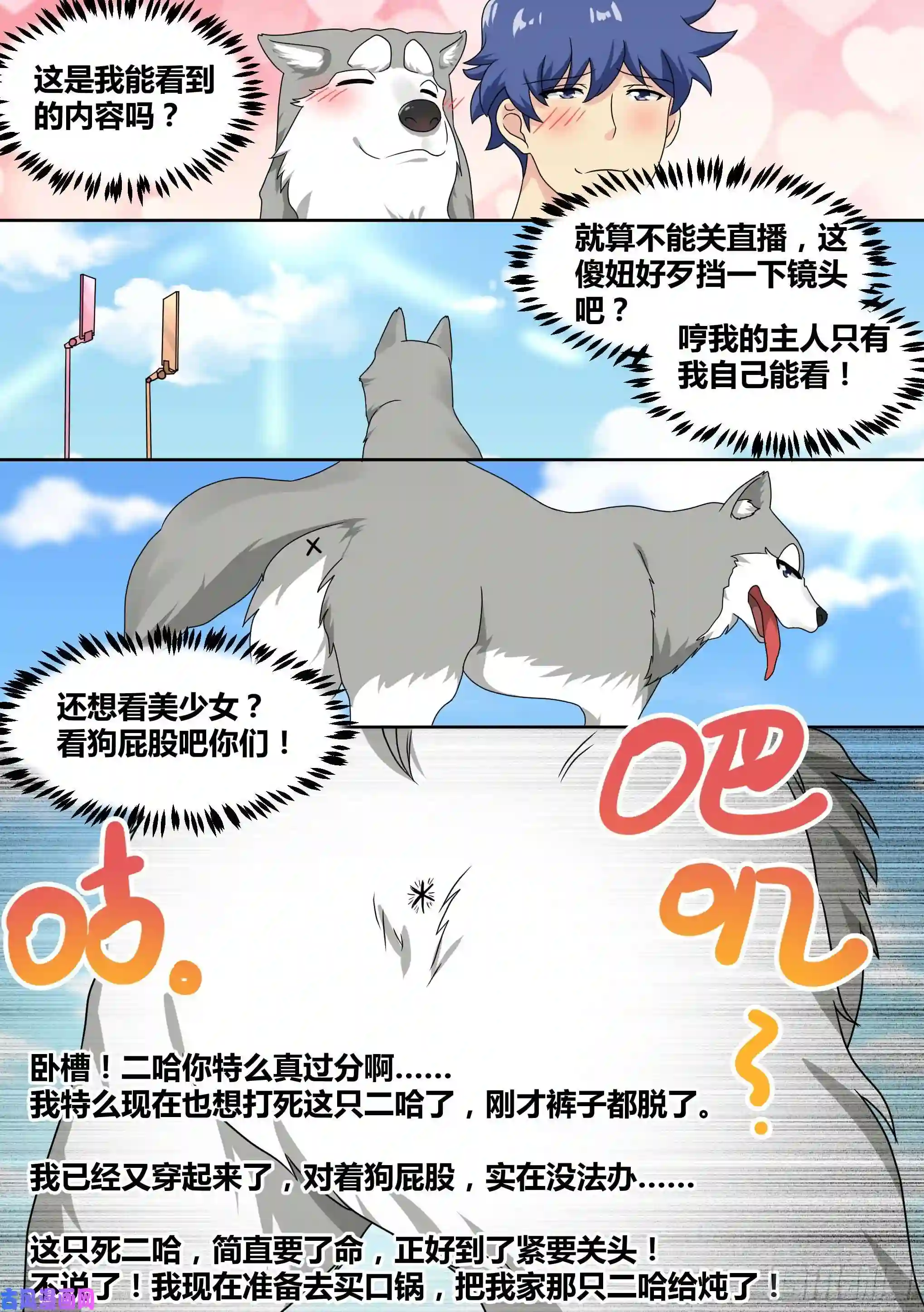 直播：女神家的哈士奇天秀19-美少女荒野泳衣派对！
