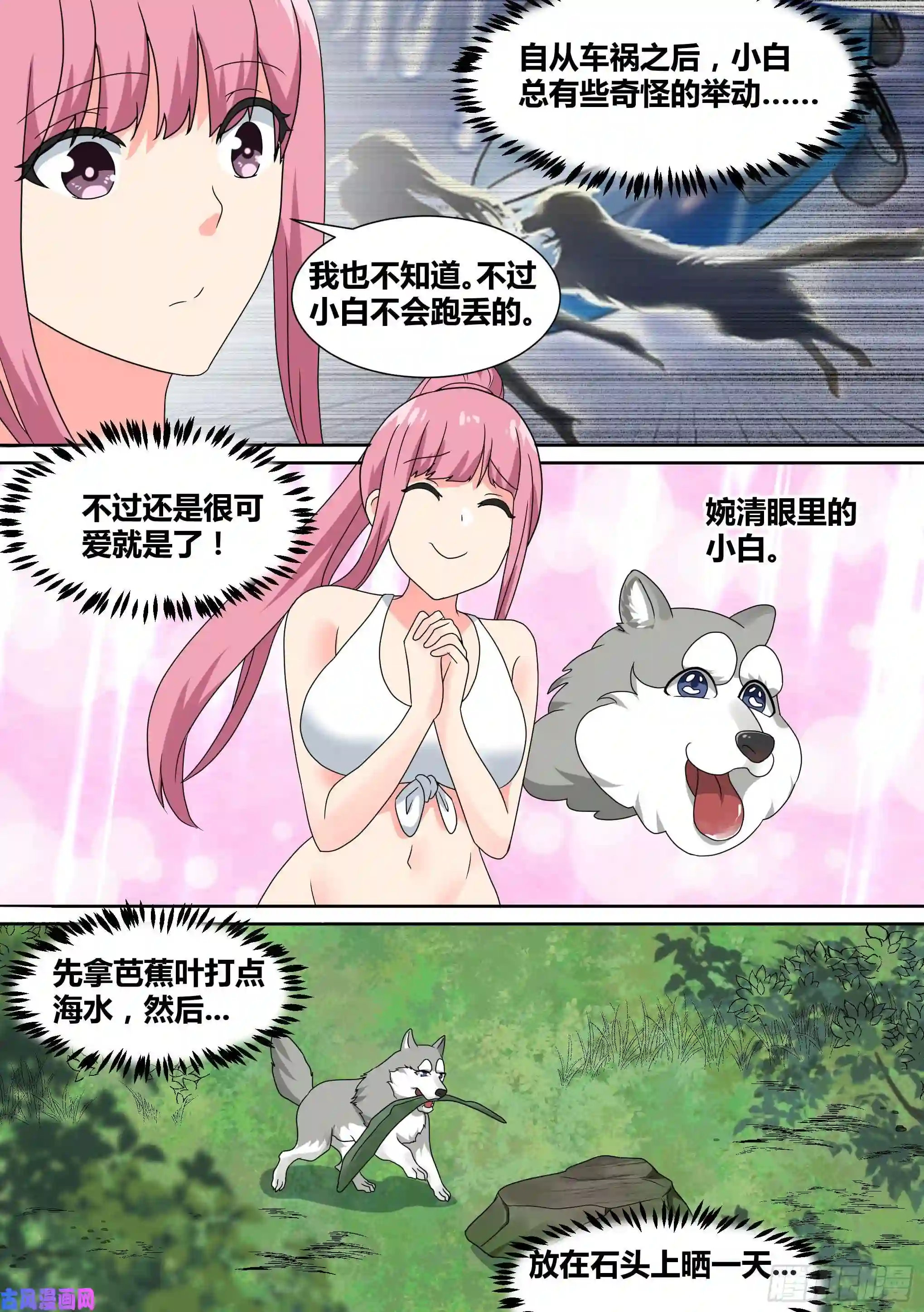 直播：女神家的哈士奇天秀19-美少女荒野泳衣派对！
