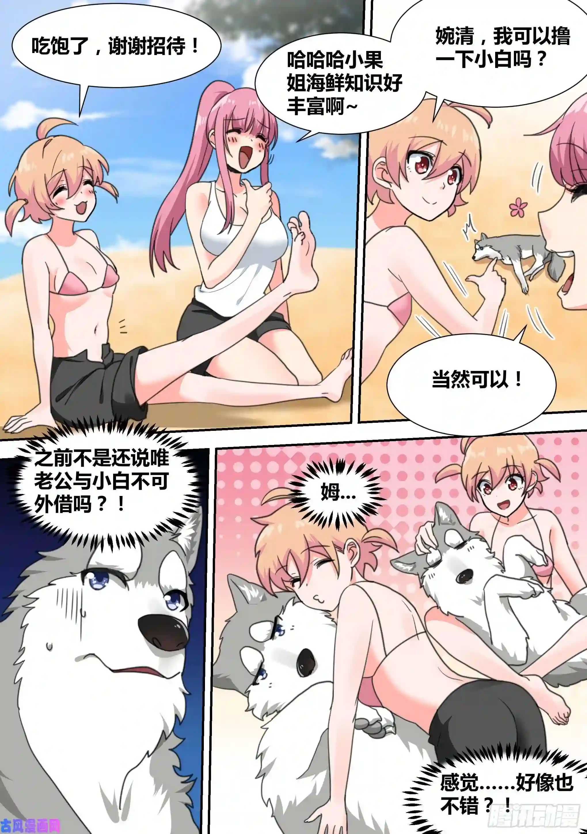 直播：女神家的哈士奇天秀19-美少女荒野泳衣派对！