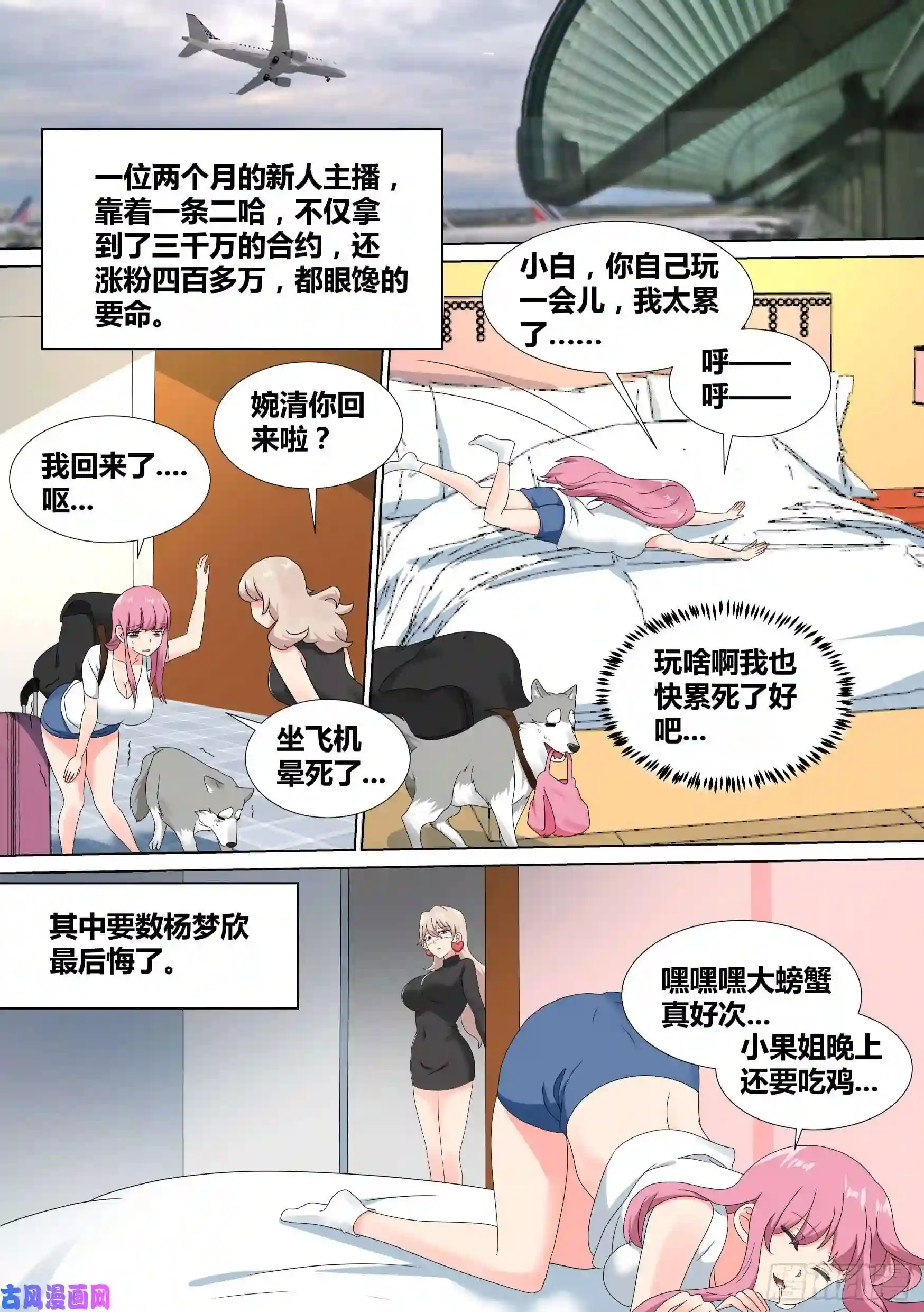 直播：女神家的哈士奇天秀20-狗生巅峰