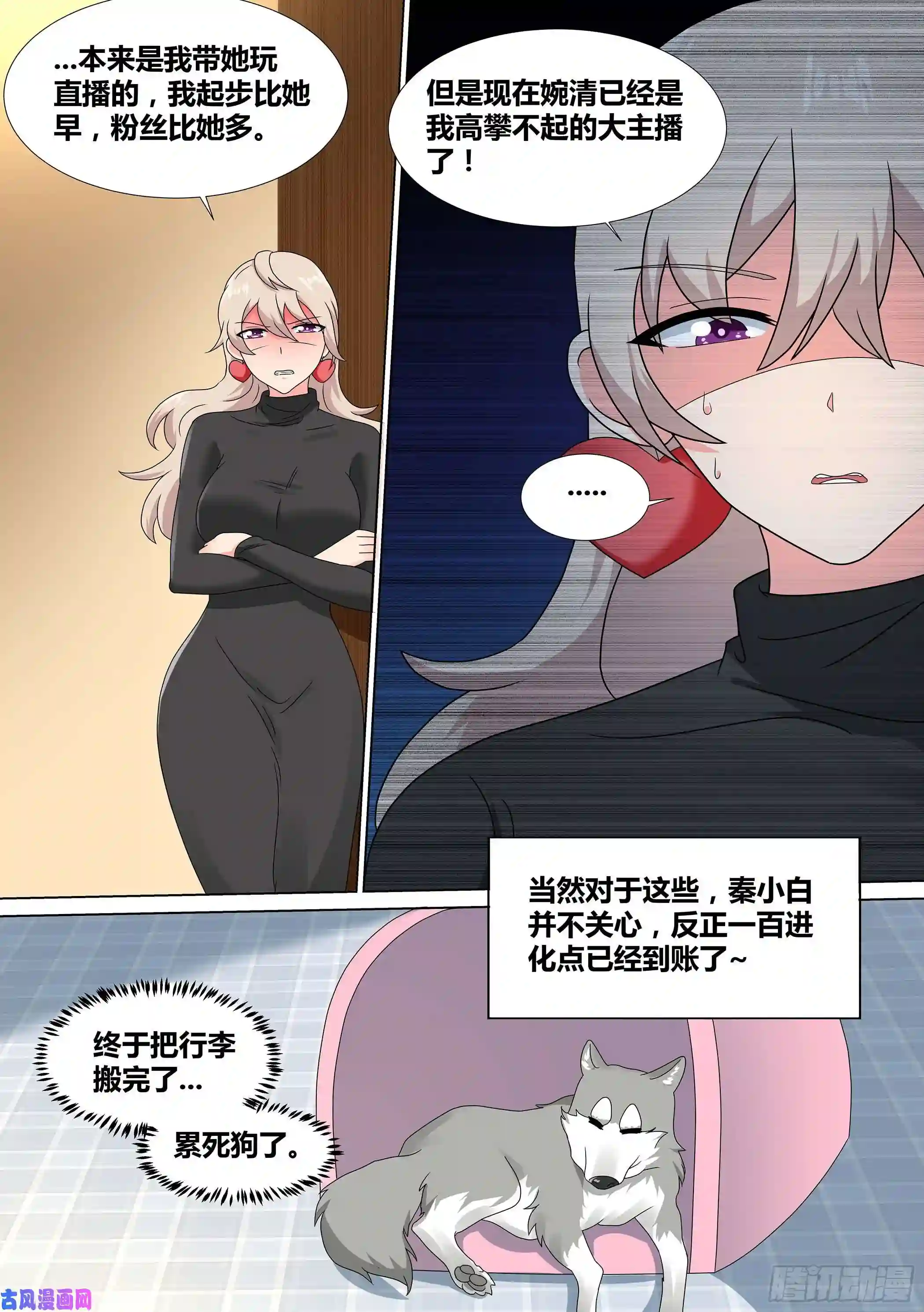直播：女神家的哈士奇天秀20-狗生巅峰