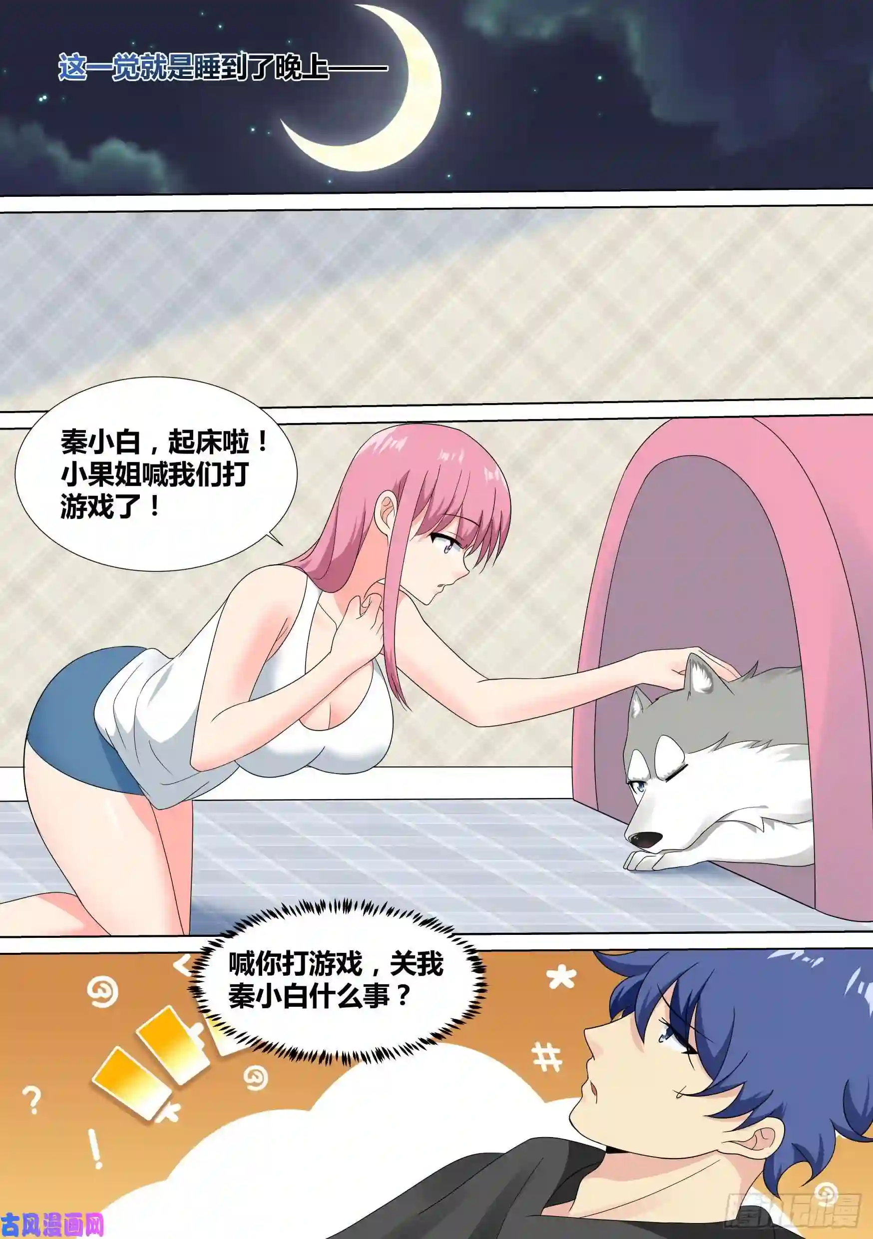 直播：女神家的哈士奇天秀20-狗生巅峰