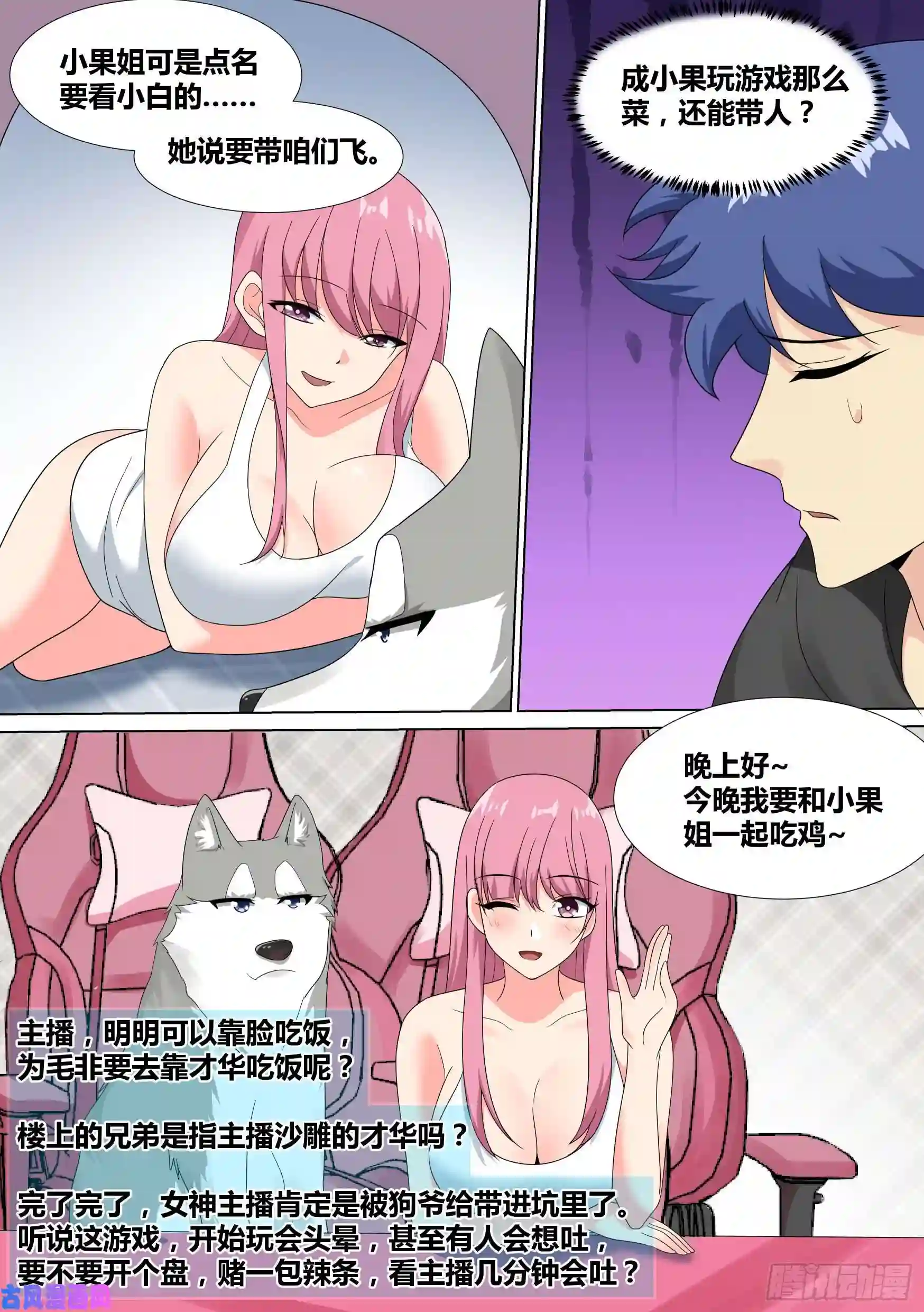 直播：女神家的哈士奇天秀20-狗生巅峰