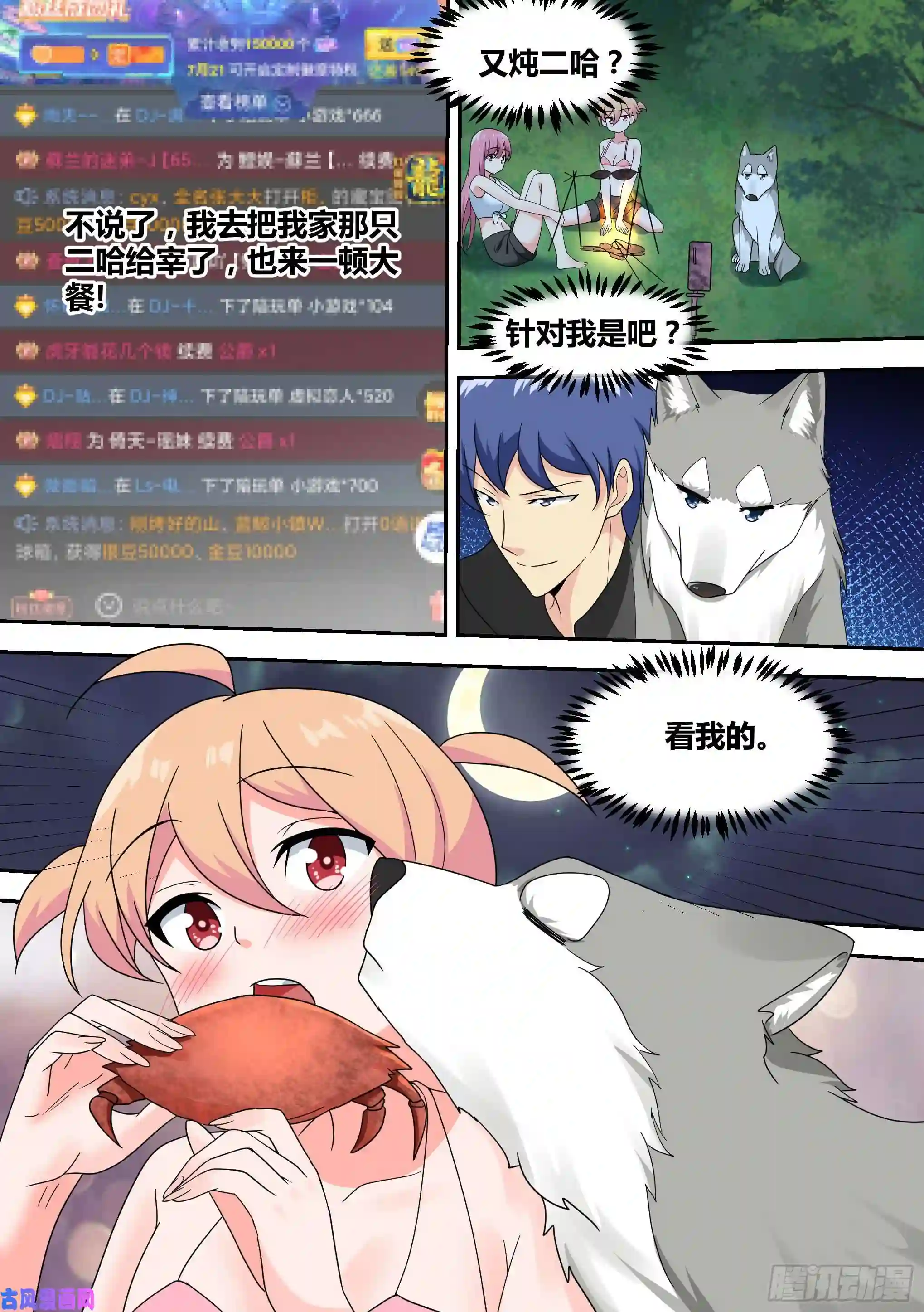 直播：女神家的哈士奇天秀20-狗生巅峰