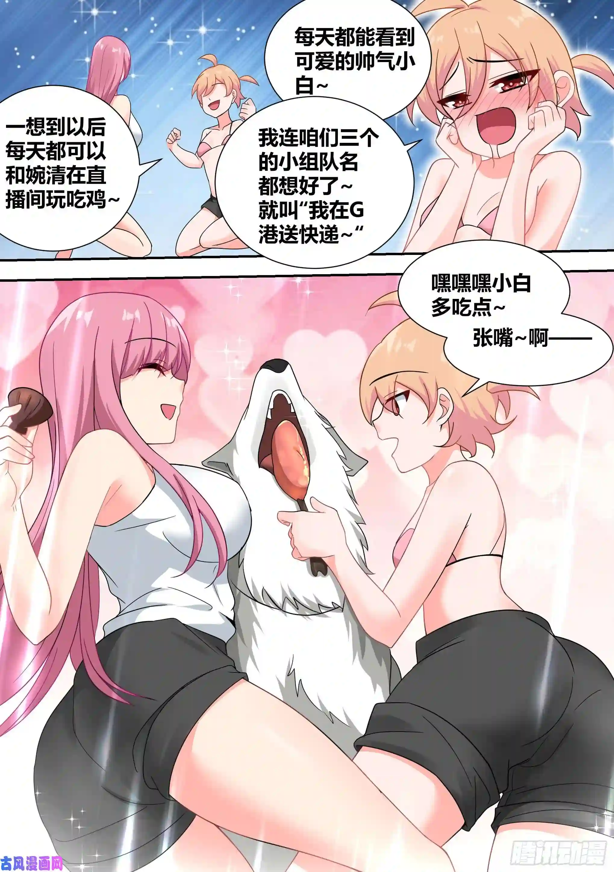 直播：女神家的哈士奇天秀20-狗生巅峰