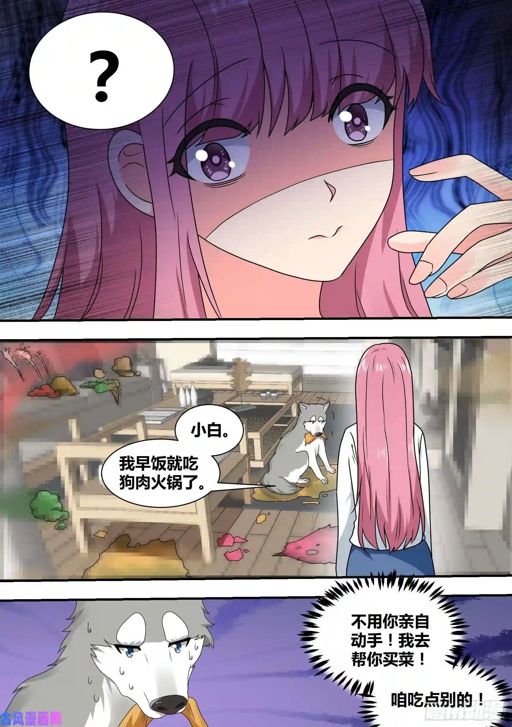直播：女神家的哈士奇天秀22-拆家基因觉醒