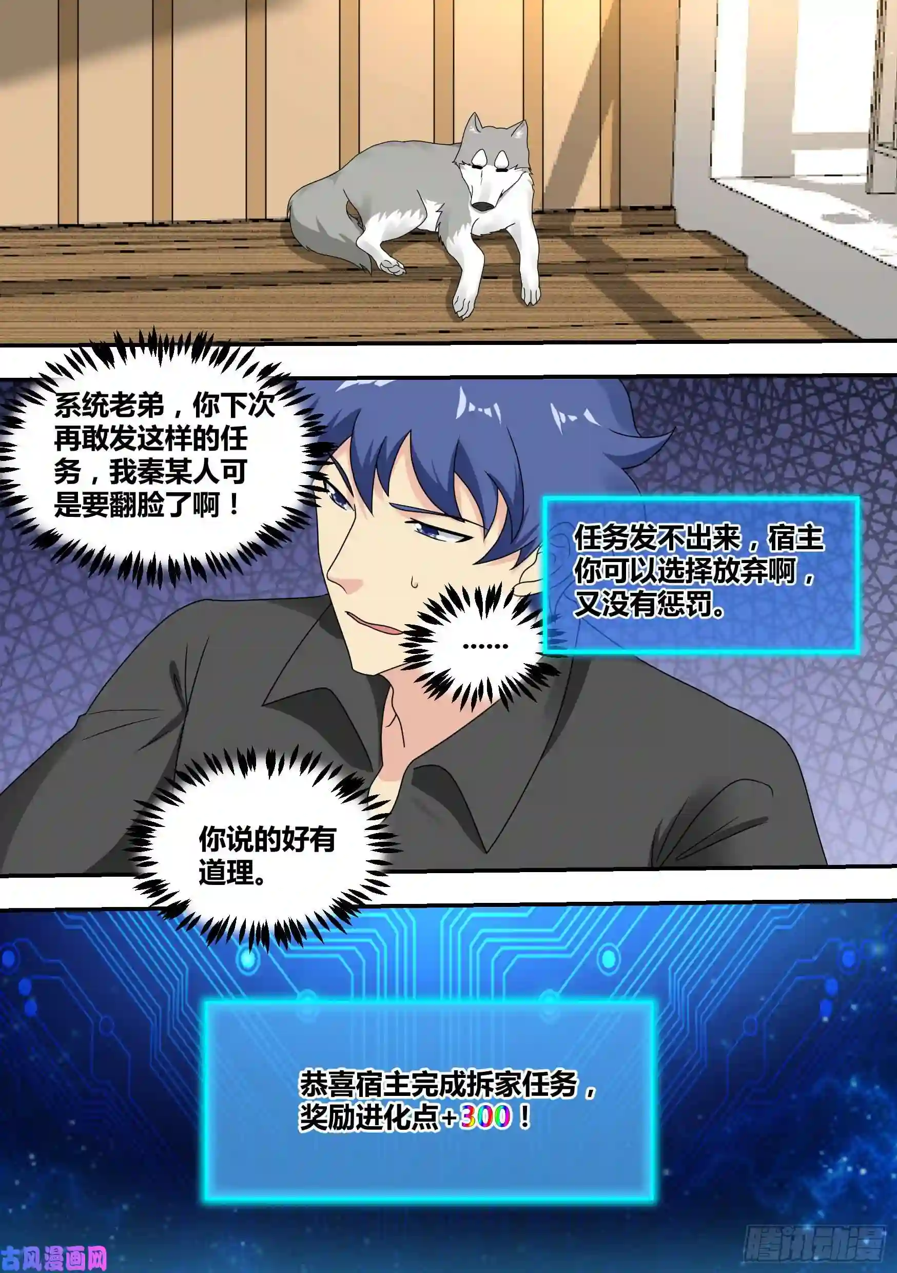 直播：女神家的哈士奇天秀22-拆家基因觉醒