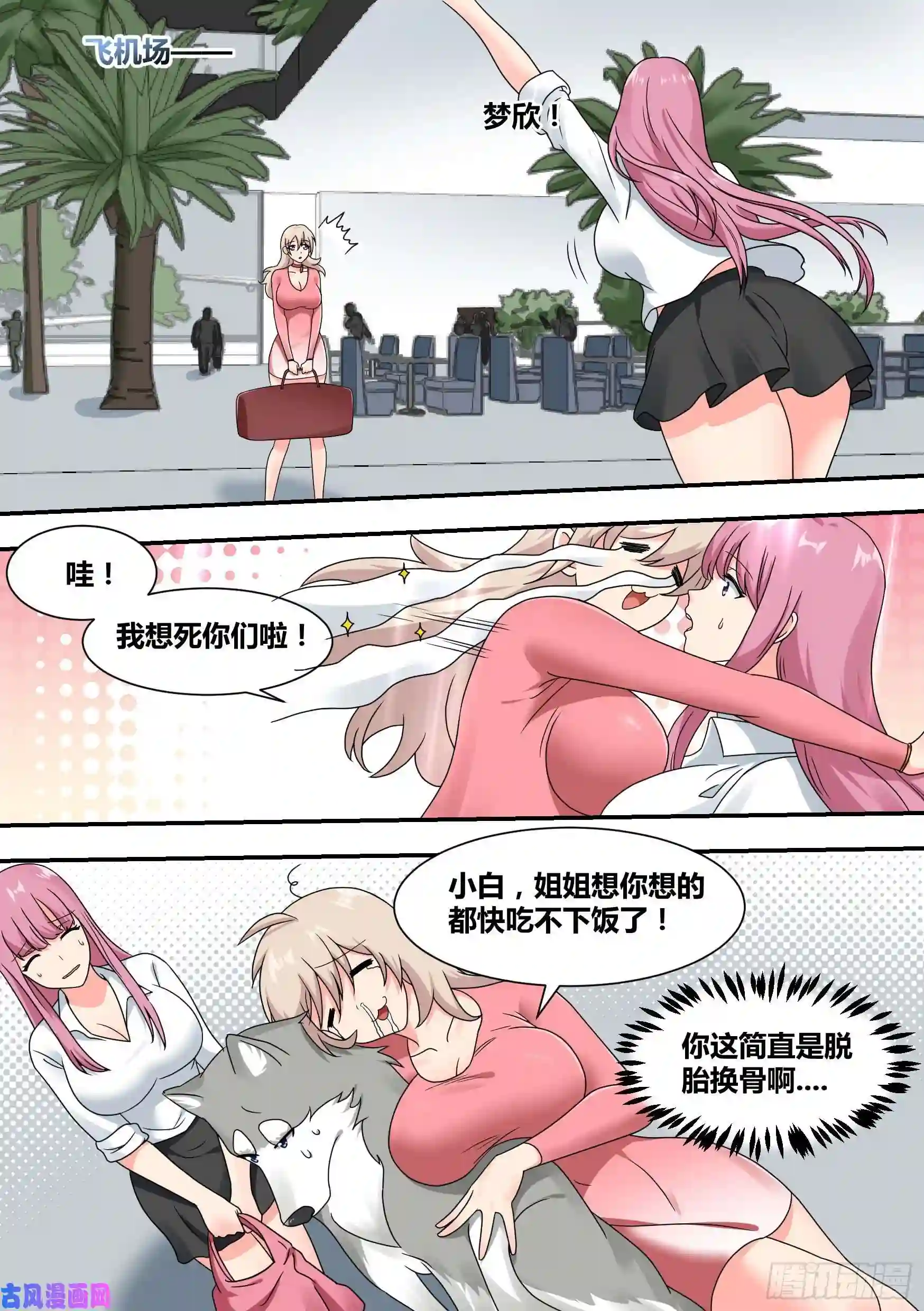 直播：女神家的哈士奇天秀23-化形