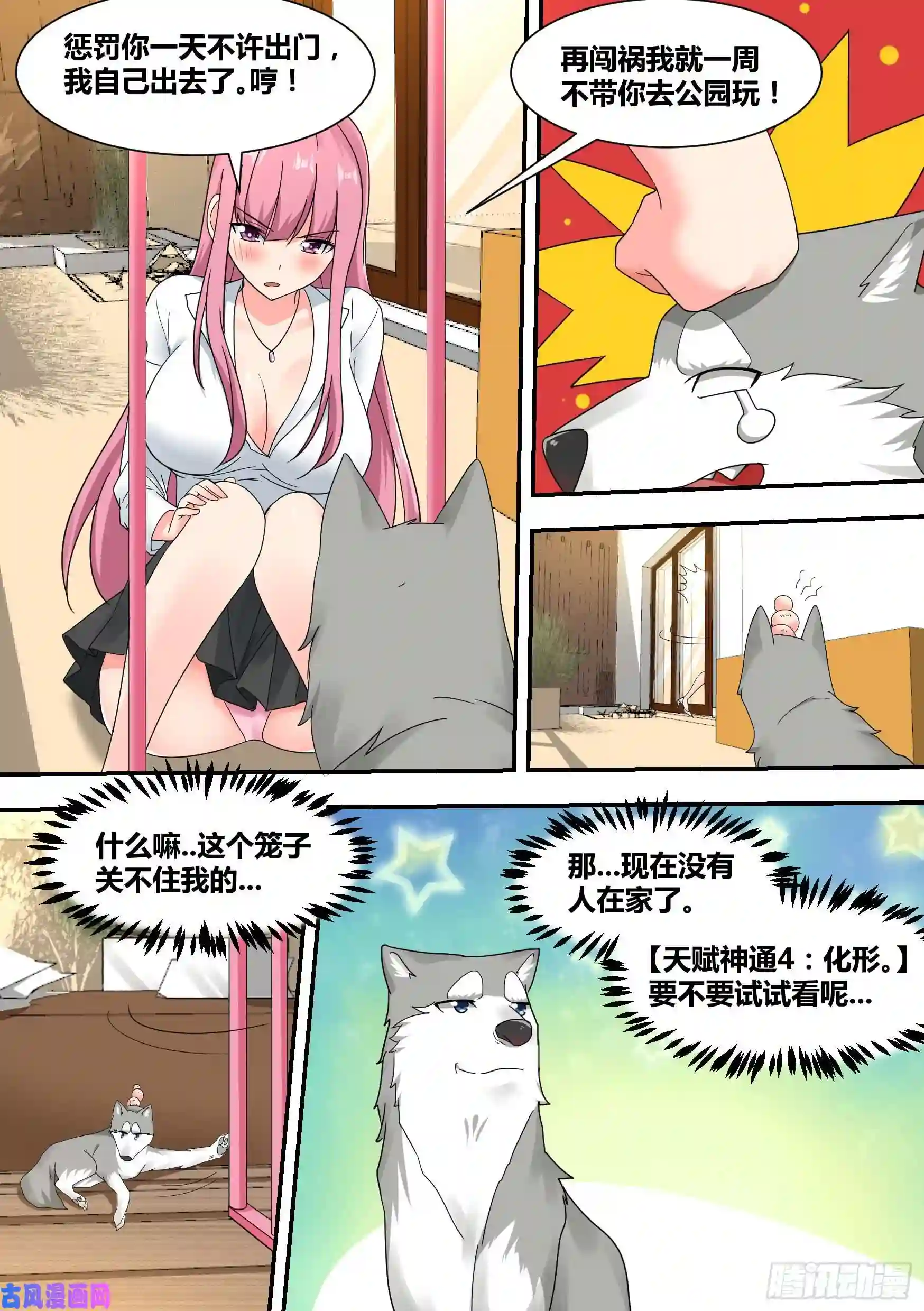 直播：女神家的哈士奇天秀23-化形