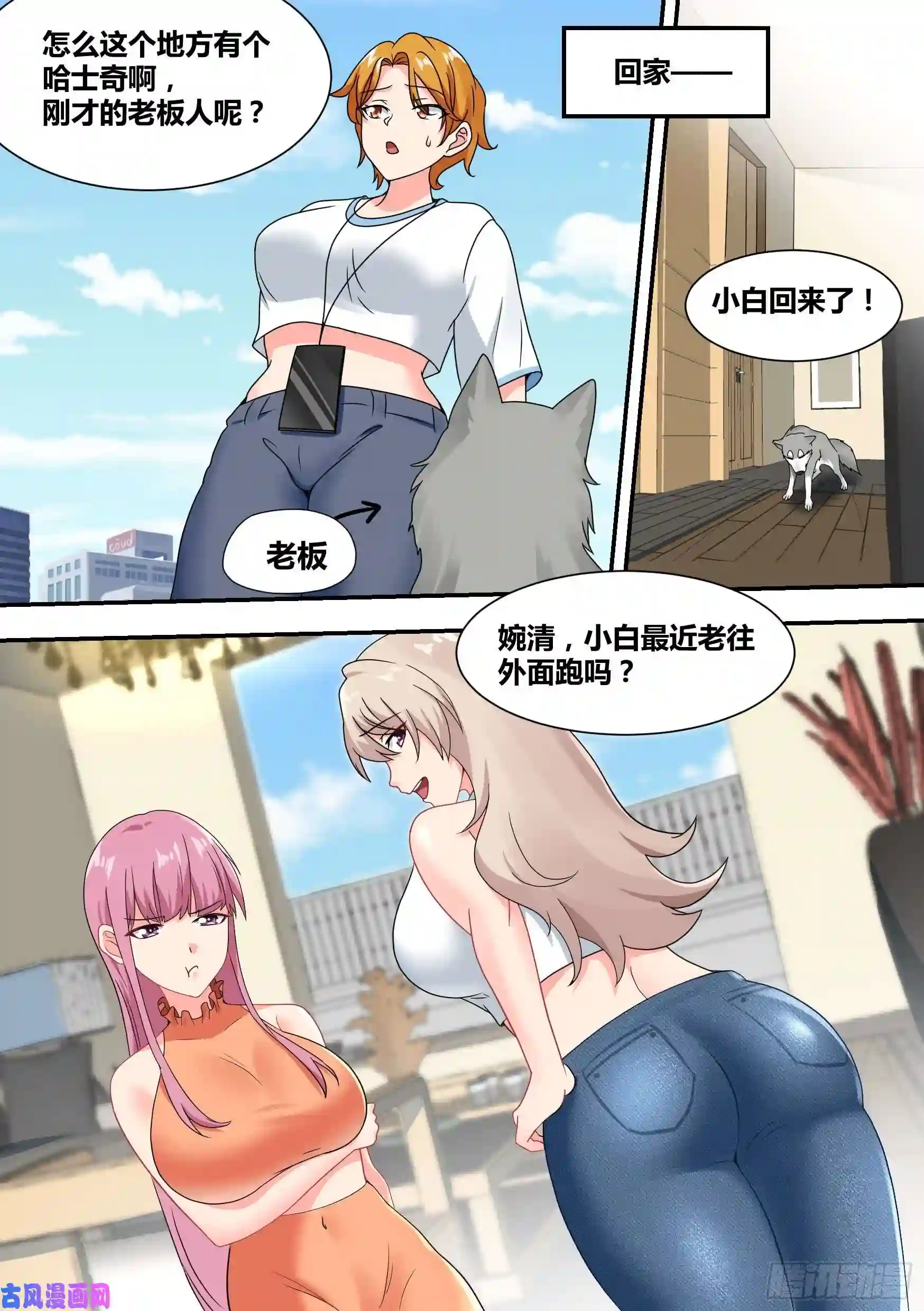 直播：女神家的哈士奇天秀27-和我拼火箭？