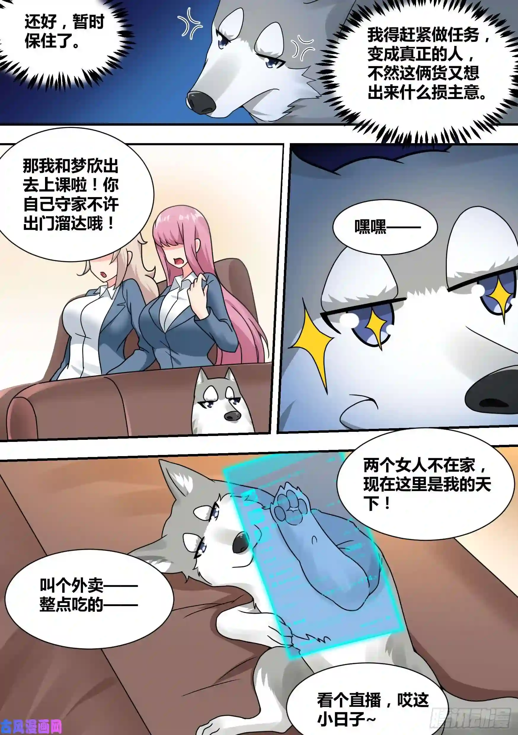 直播：女神家的哈士奇天秀27-和我拼火箭？