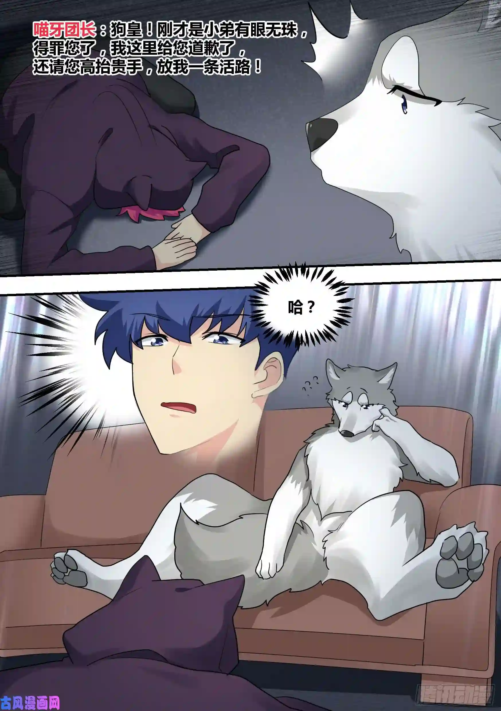 直播：女神家的哈士奇天秀28-醉酒的小萌