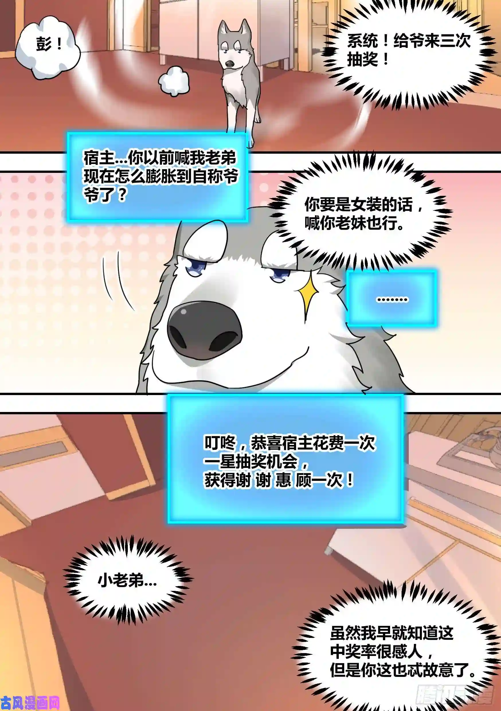 直播：女神家的哈士奇天秀28-醉酒的小萌