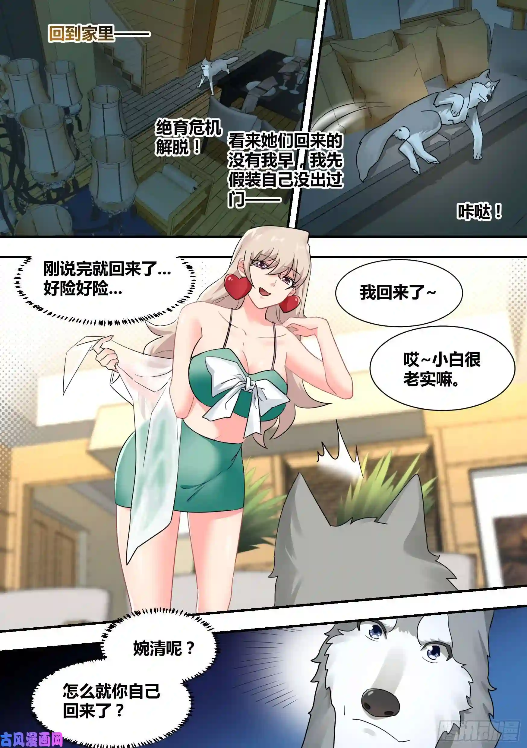 直播：女神家的哈士奇天秀29-寻狗启示