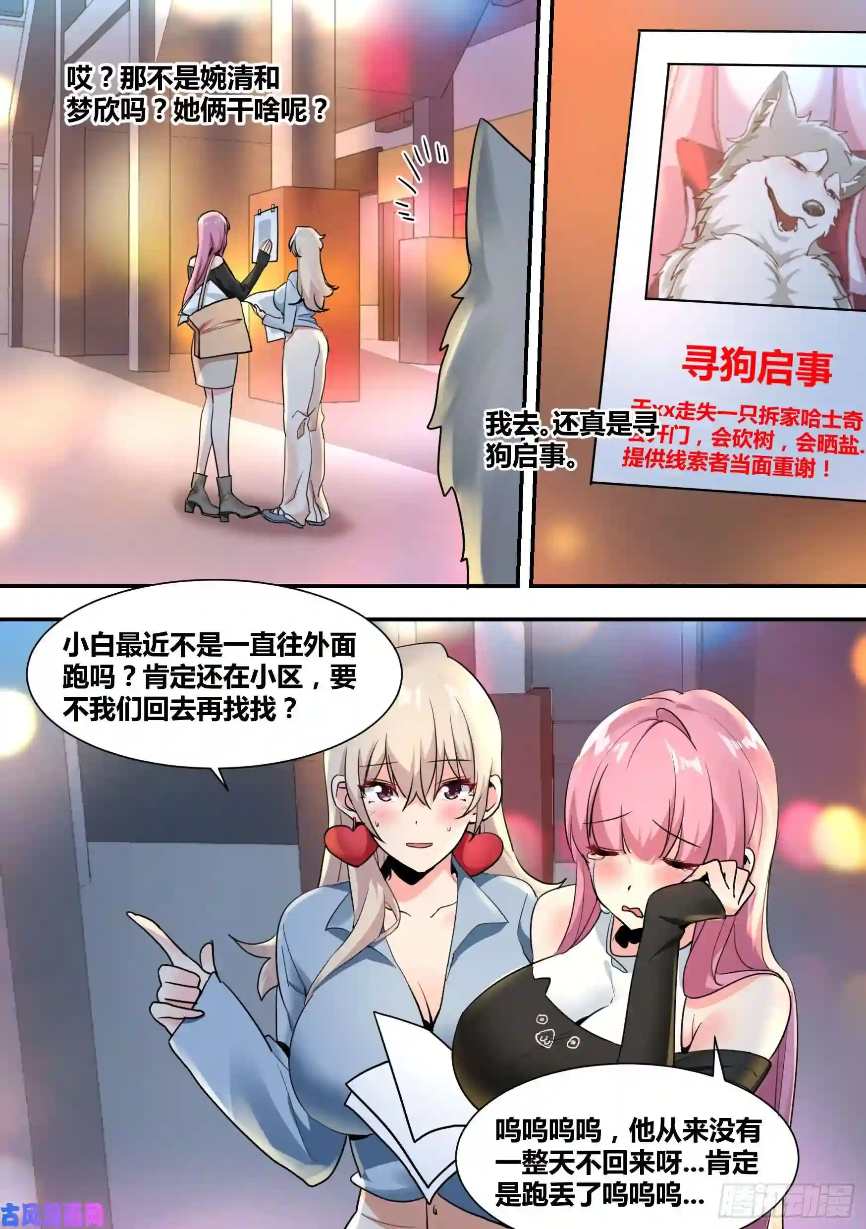 直播：女神家的哈士奇天秀29-寻狗启示