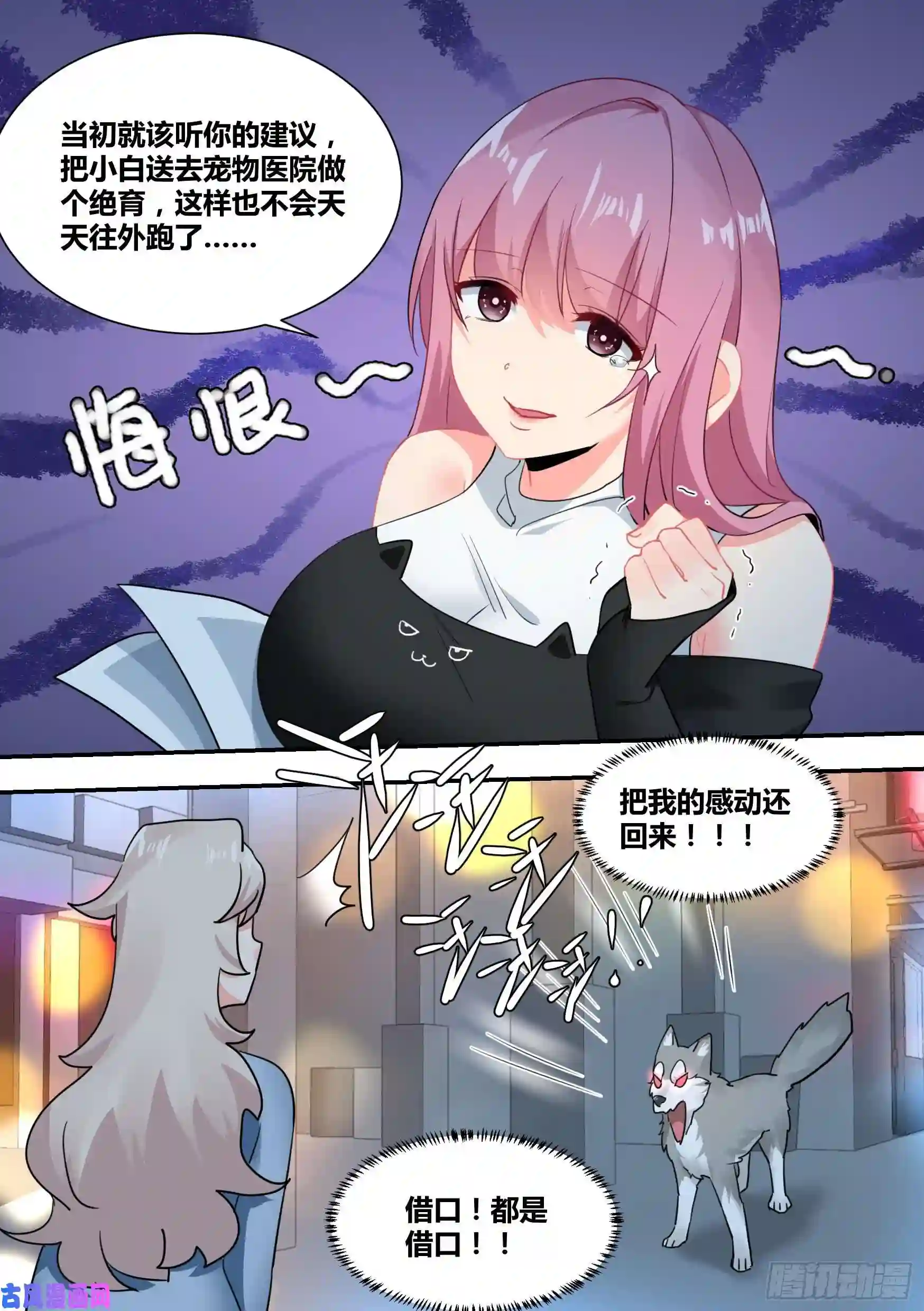 直播：女神家的哈士奇天秀29-寻狗启示