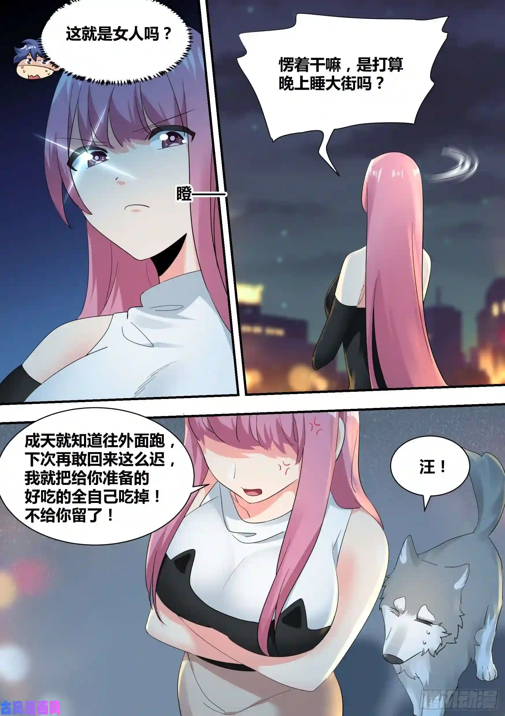 直播：女神家的哈士奇天秀29-寻狗启示