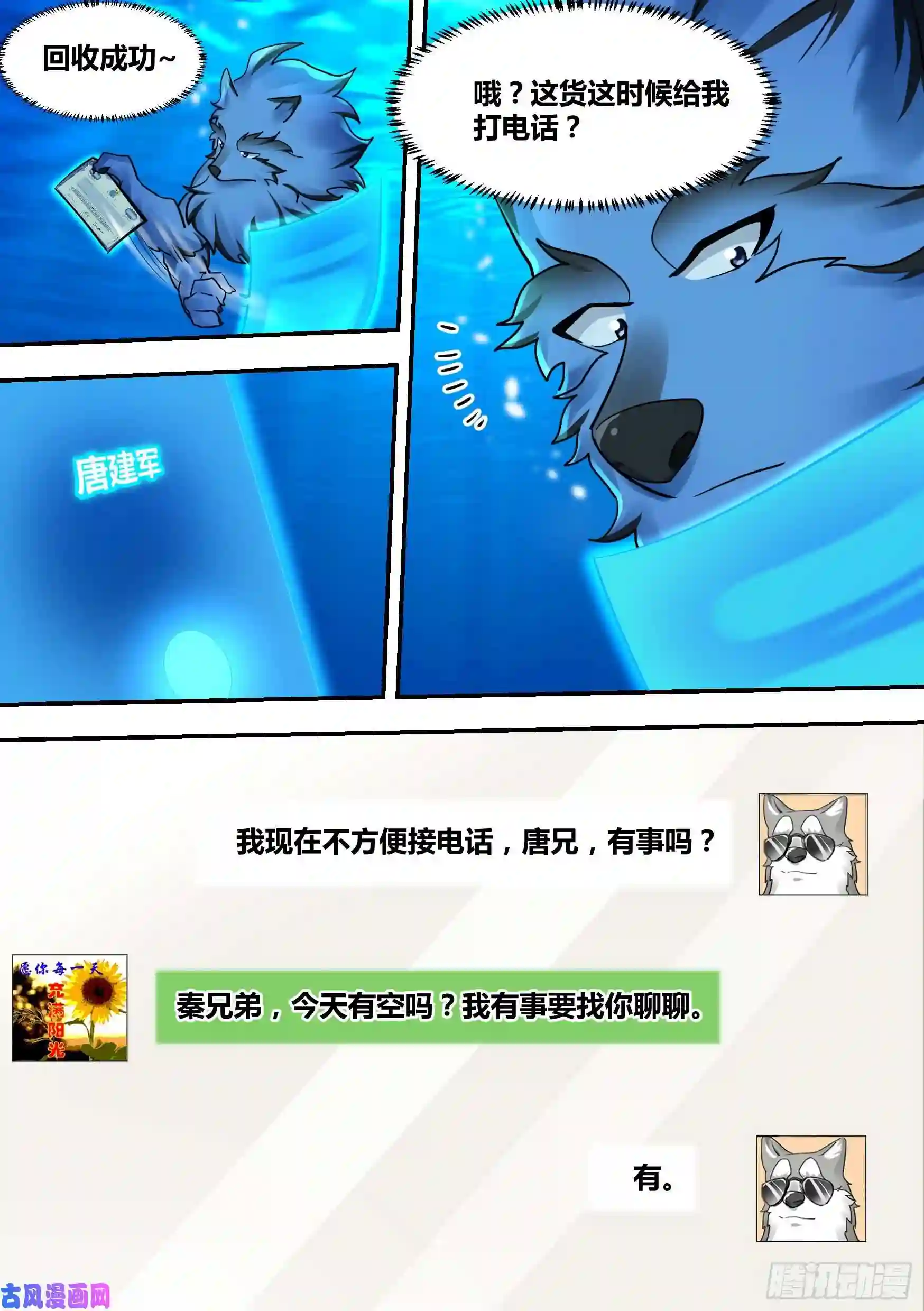 直播：女神家的哈士奇天秀33-今天在祖安区直播……