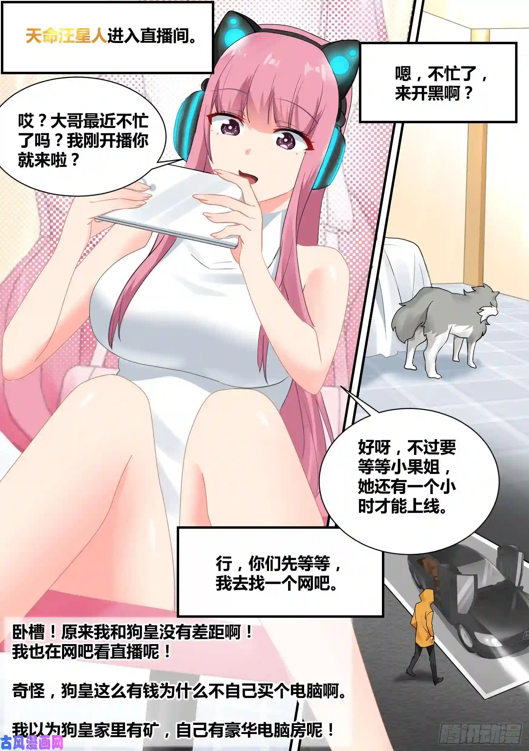 直播：女神家的哈士奇天秀35-女人的怒火