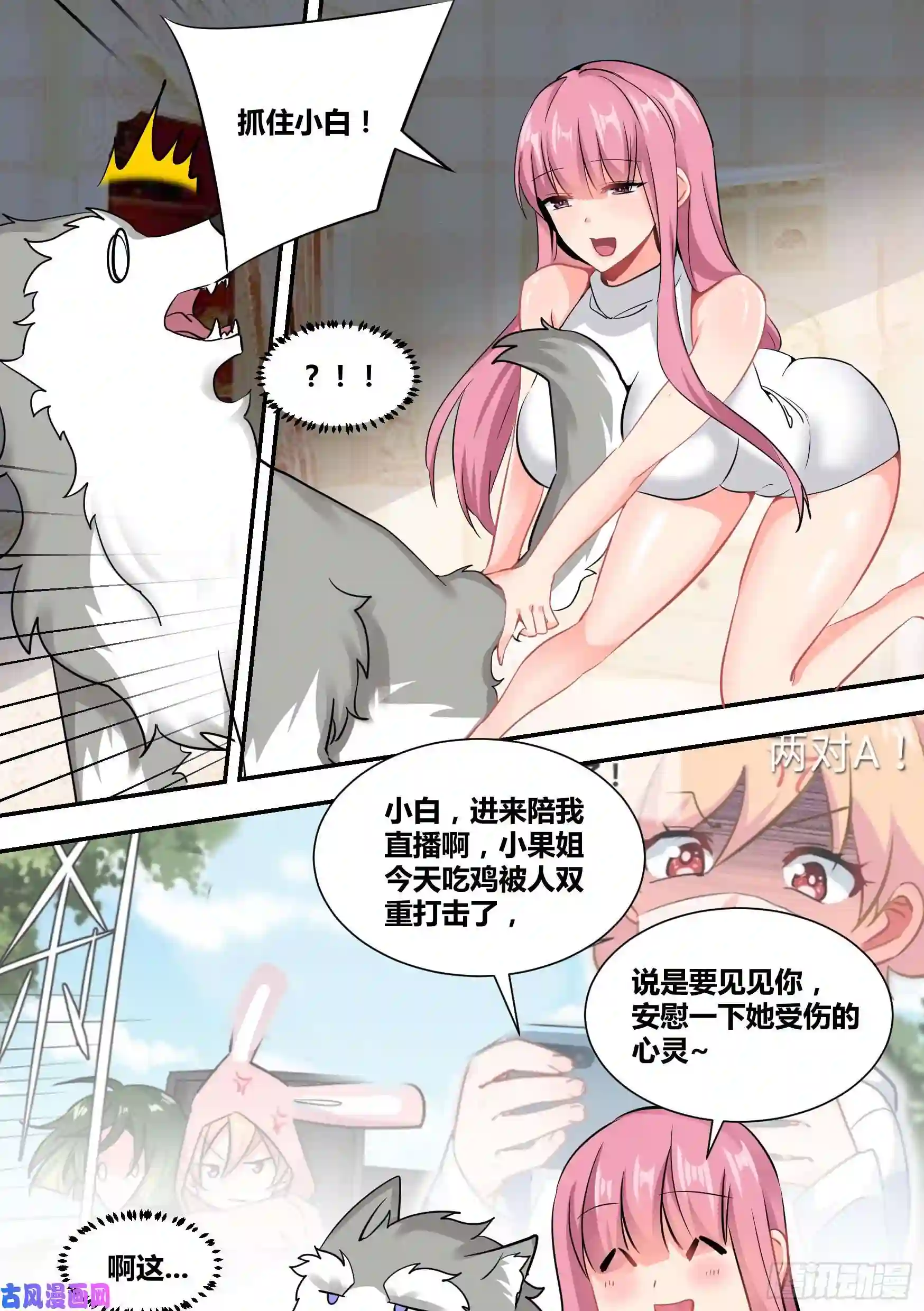 直播：女神家的哈士奇天秀35-女人的怒火