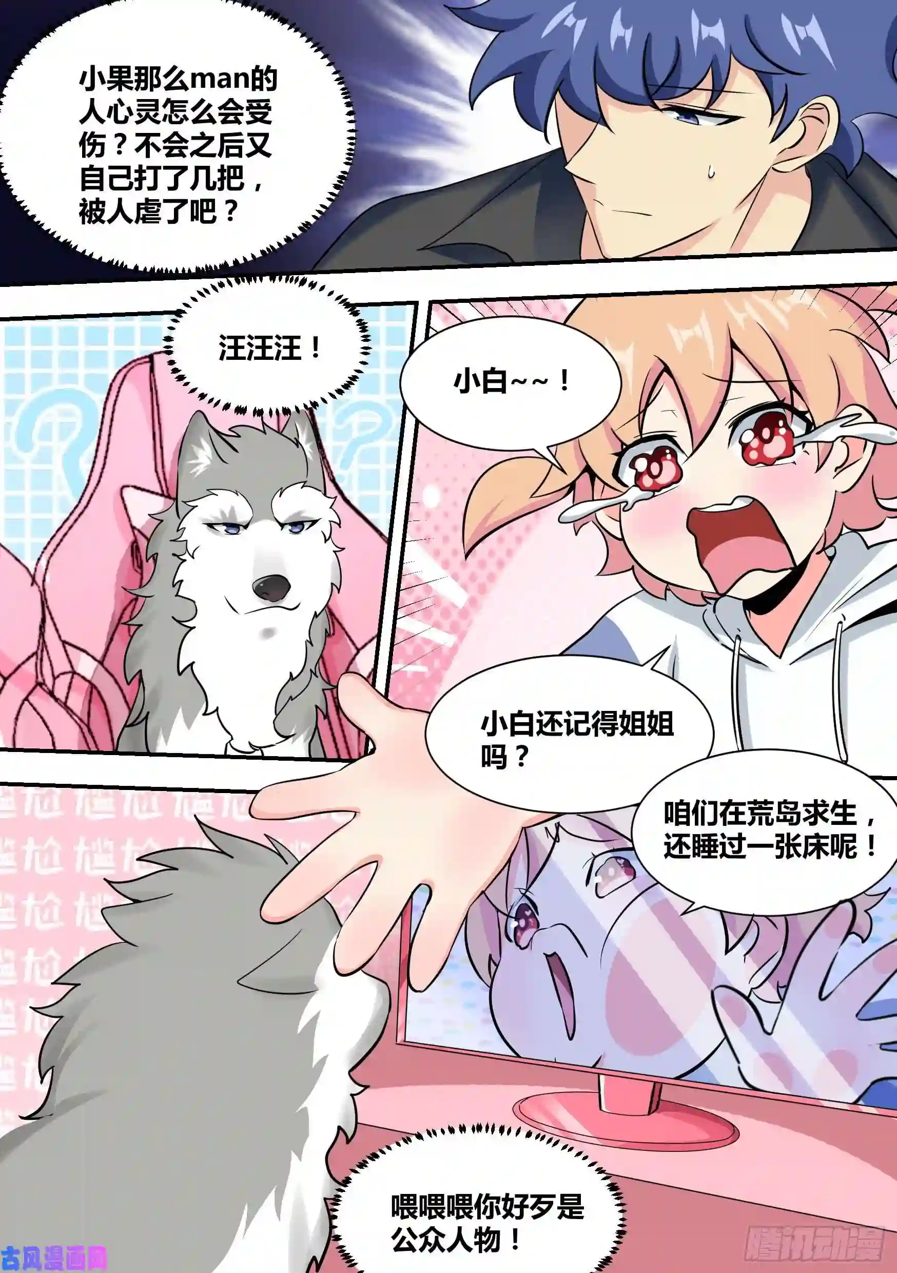 直播：女神家的哈士奇天秀35-女人的怒火