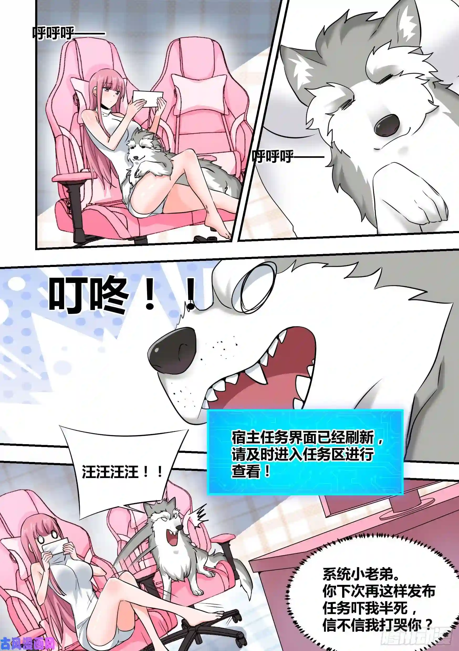 直播：女神家的哈士奇天秀35-女人的怒火