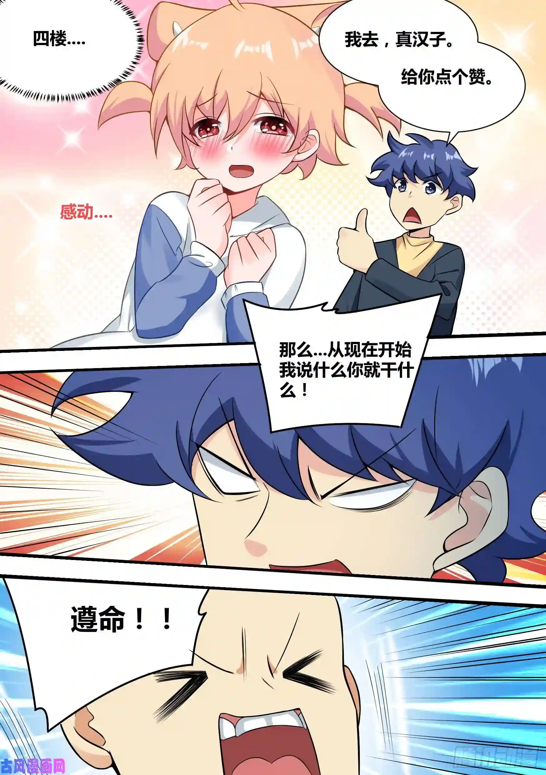 直播：女神家的哈士奇天秀37-“套盒流”打法