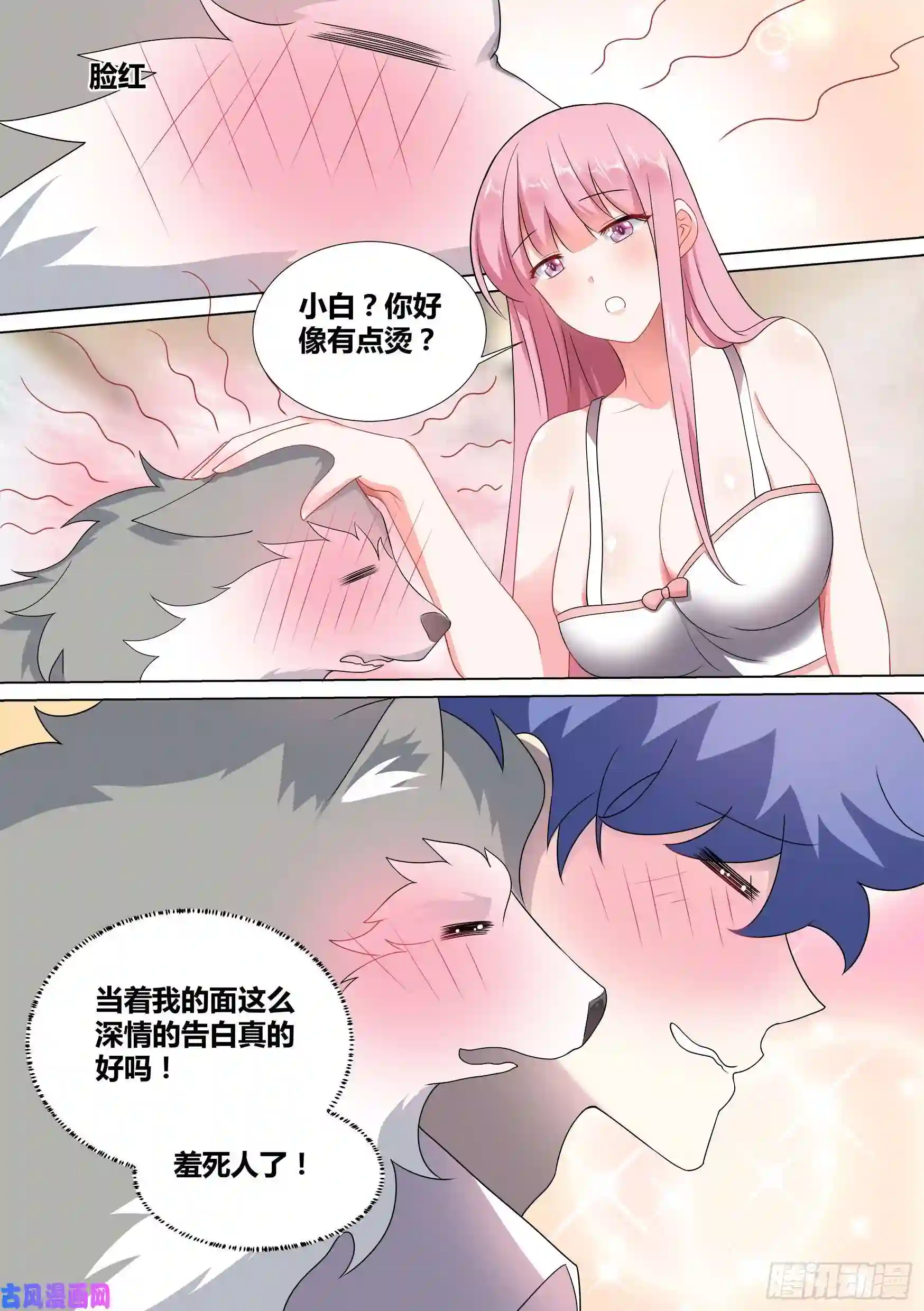 直播：女神家的哈士奇天秀45-扑通扑通少女心