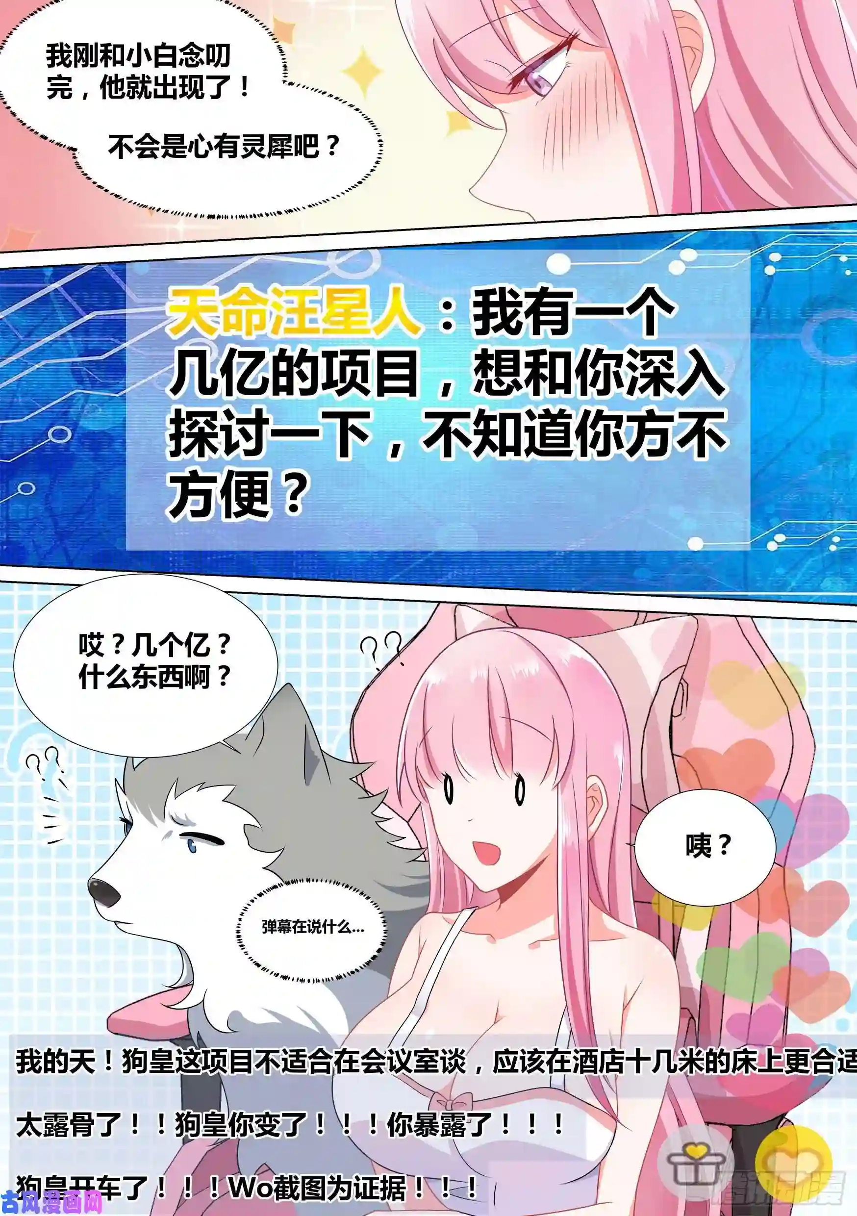 直播：女神家的哈士奇天秀46-我有几个亿的项目要和你谈