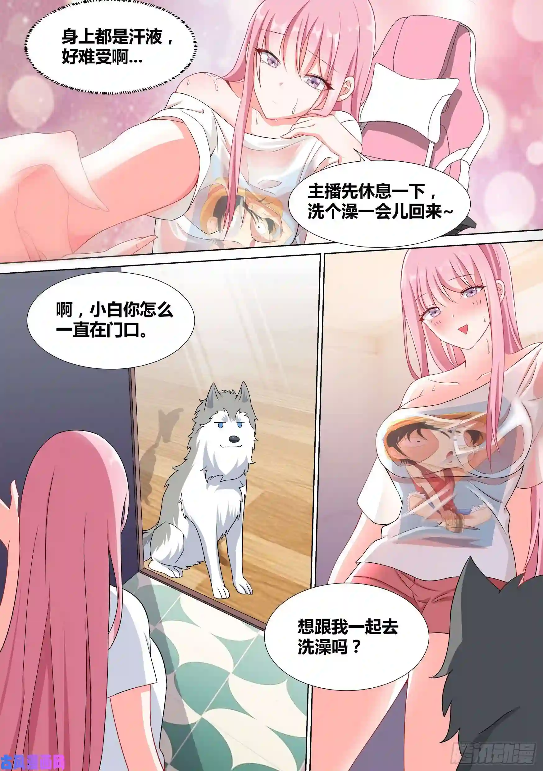 直播：女神家的哈士奇天秀49-小白VS黑炭