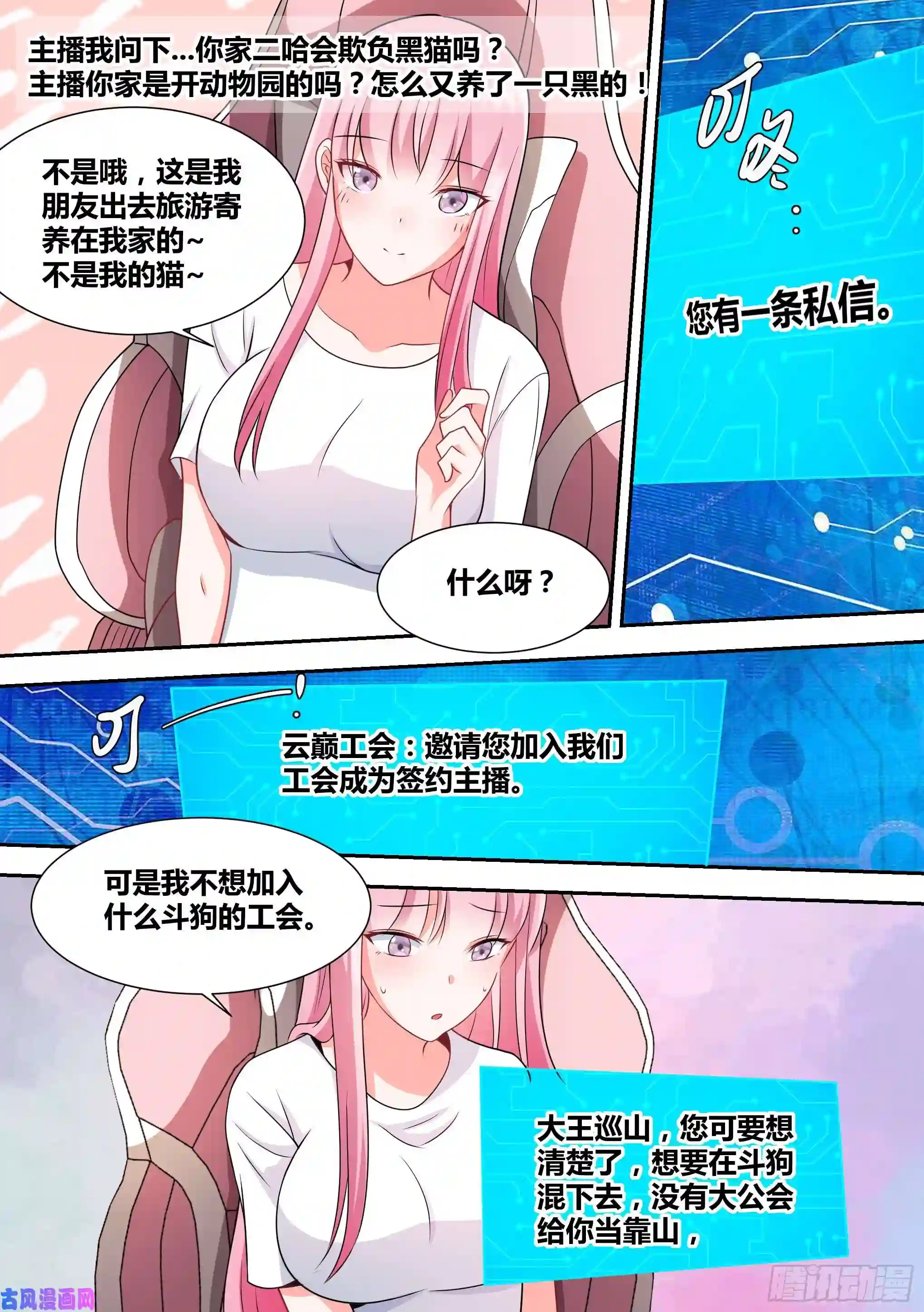 直播：女神家的哈士奇天秀50-招财“黑炭”