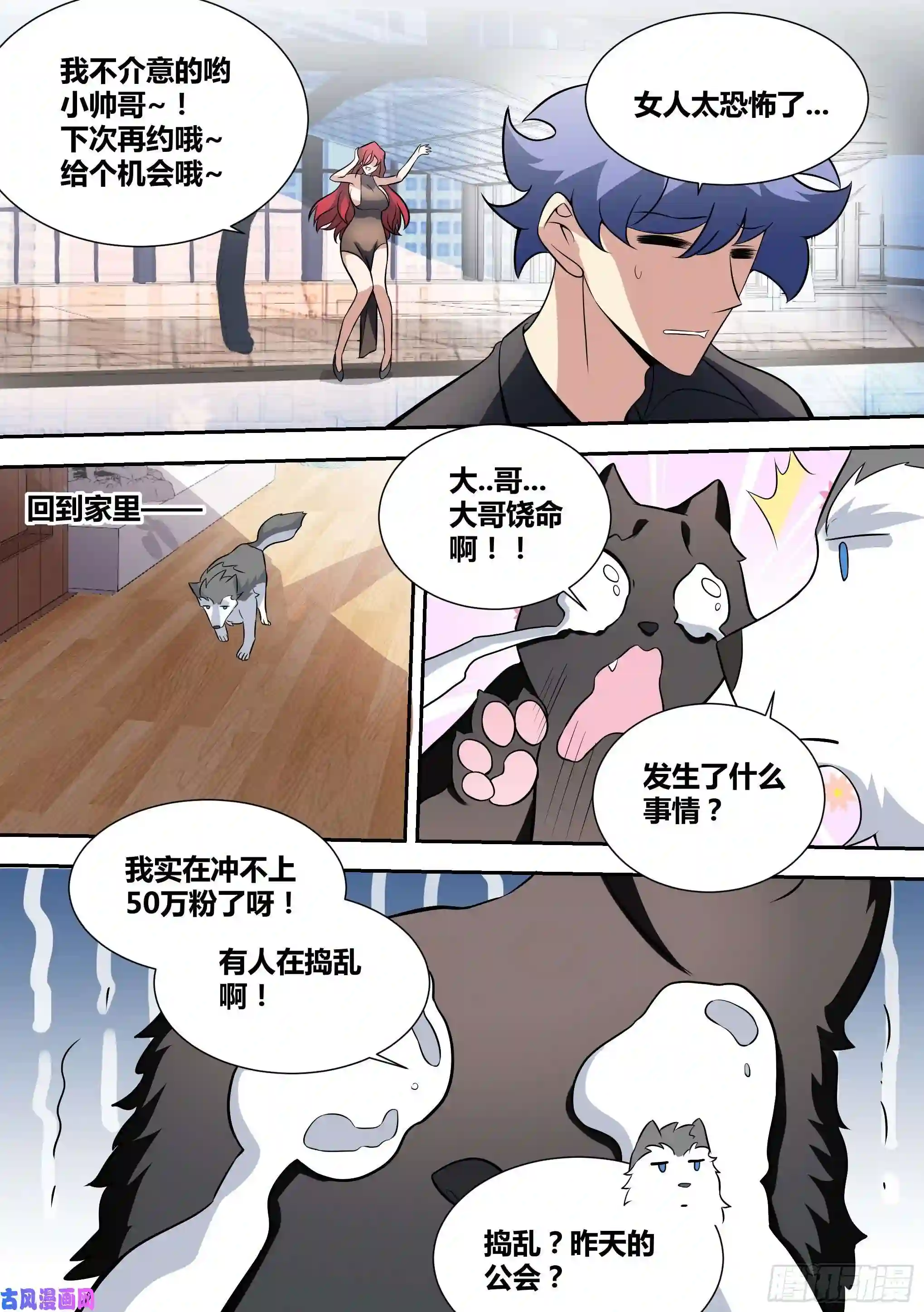 直播：女神家的哈士奇天秀51-不装了，摊牌了！