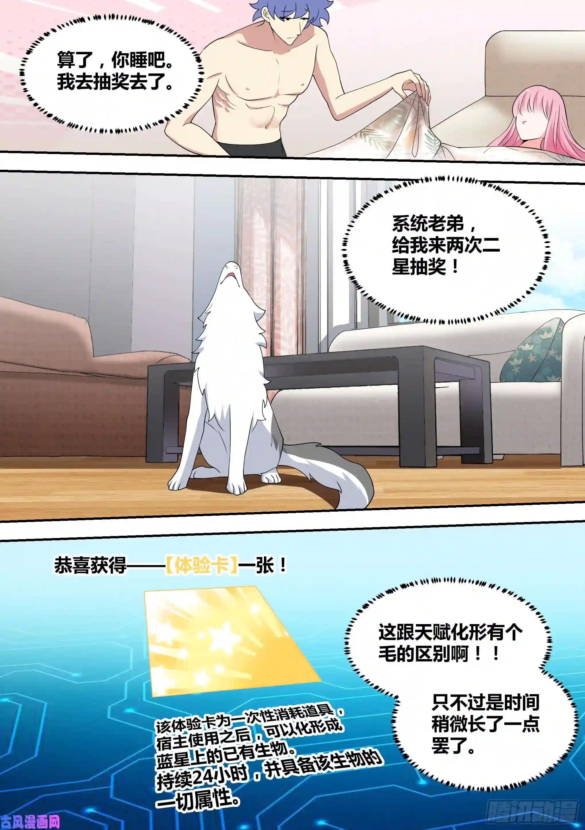 直播：女神家的哈士奇天秀55-不管了，上！